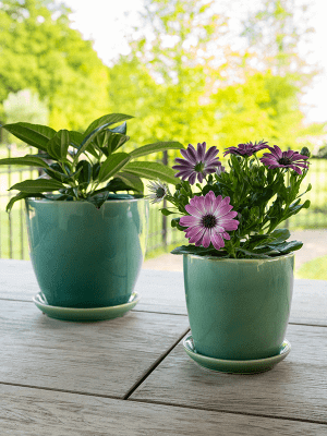 Rico Plant Pot With Saucer, Sea Green, Indoor & Outdoor