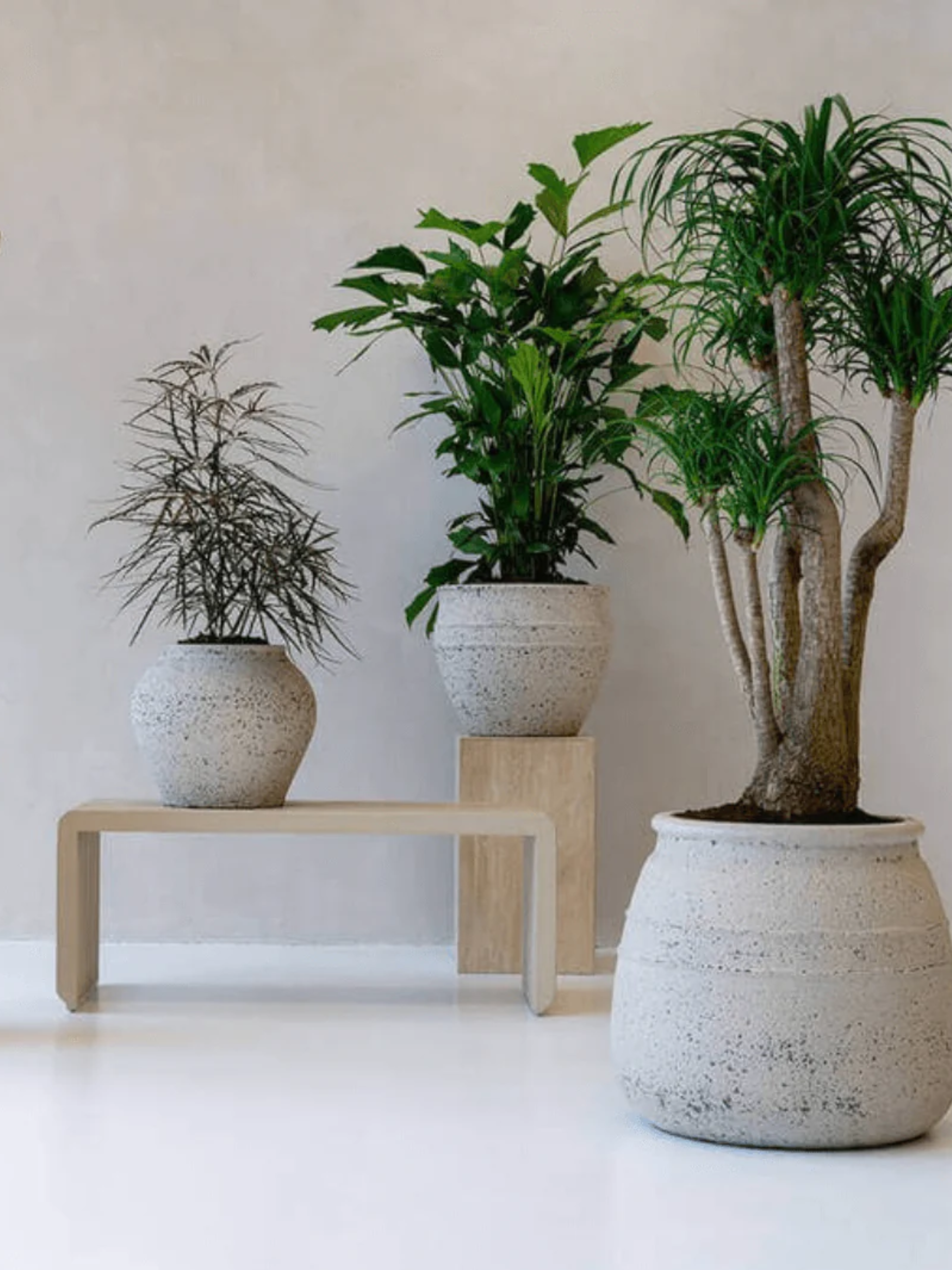 Athena_Mediterranean_Planter_-_Chalk_White_-_Large_Pots_-_29-41_cm