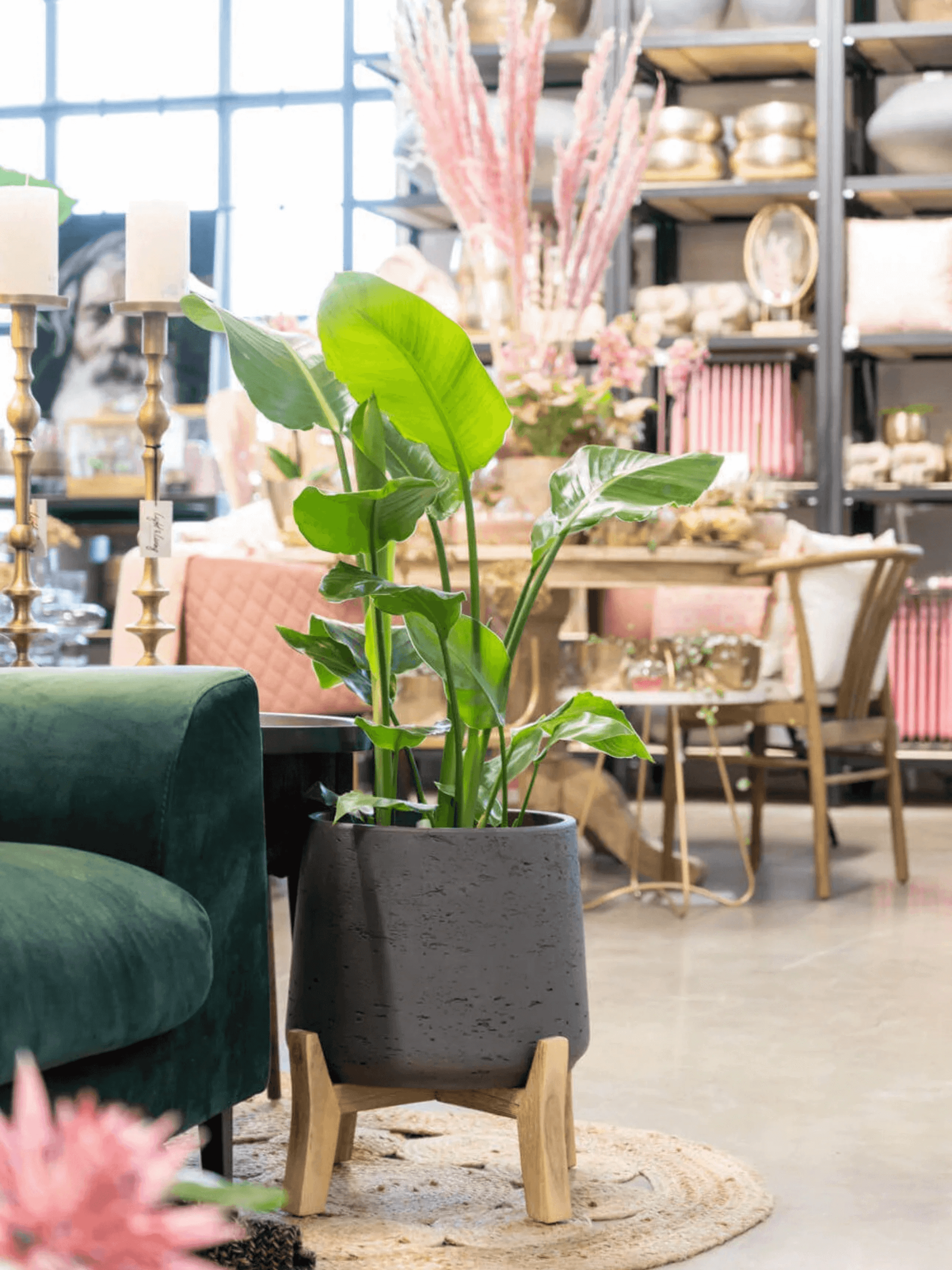 Black_Plant_Pots_Patt_Indoor__Outdoor_Planters_17cm23cm