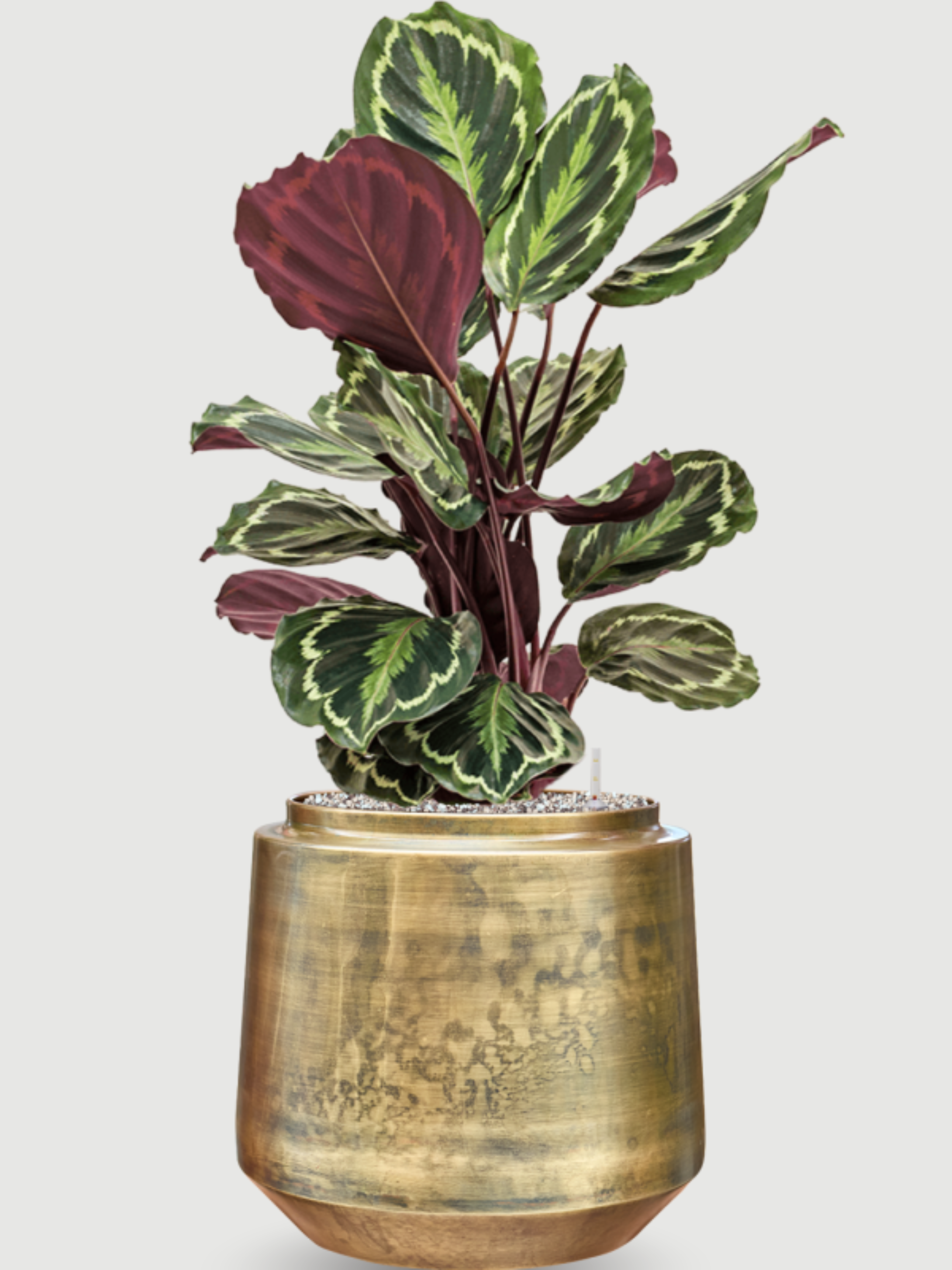 Handmade_Indigo_Metal_Pots_Vintage_Gold_Retro_Houseplant_Pot