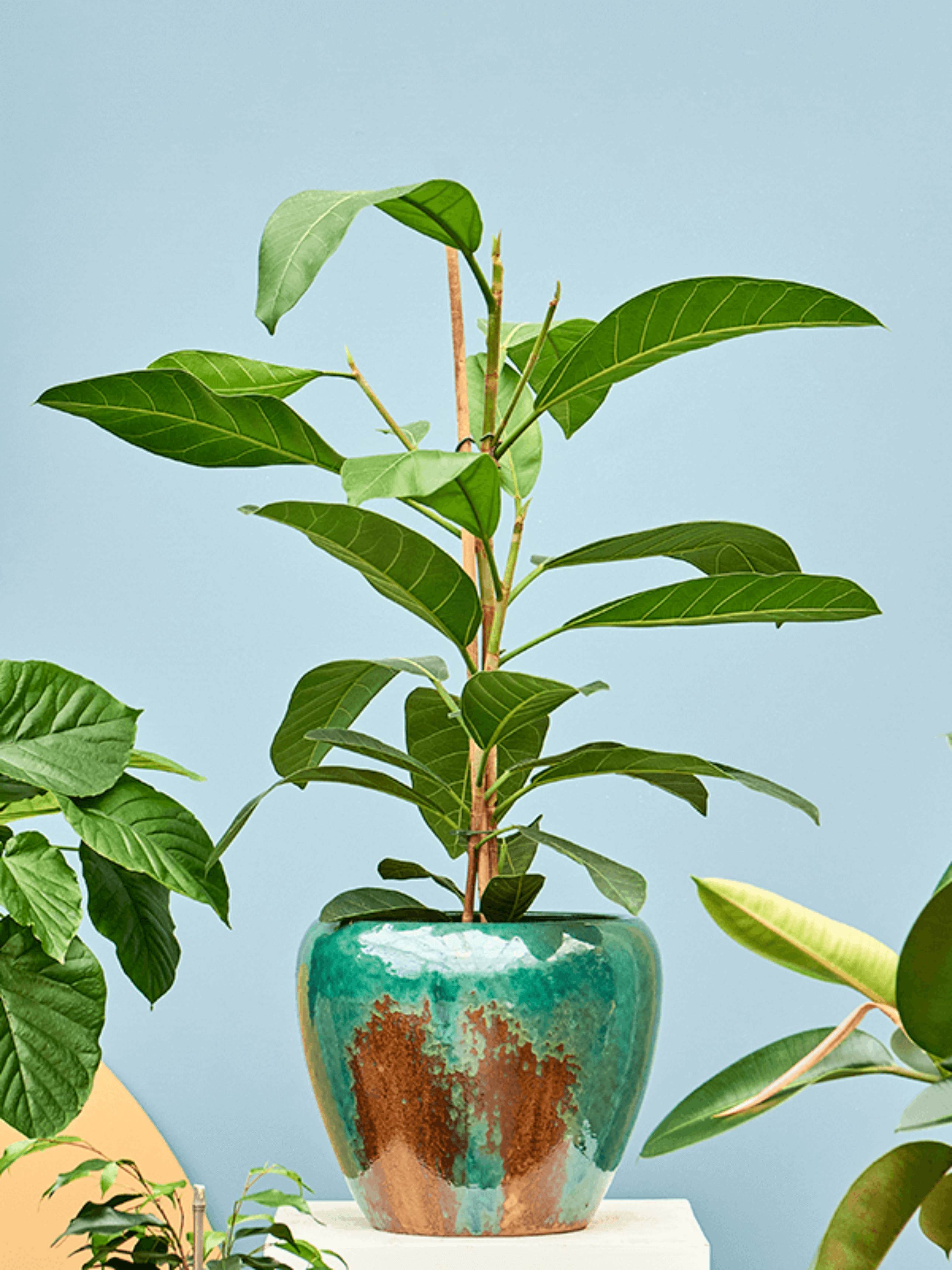 Handmade_Mystic_Ceramic_Indoor_Outdoor_PotsMetalic_Ocean_Turquoise_32cm_-_43cm_Plant_Pot