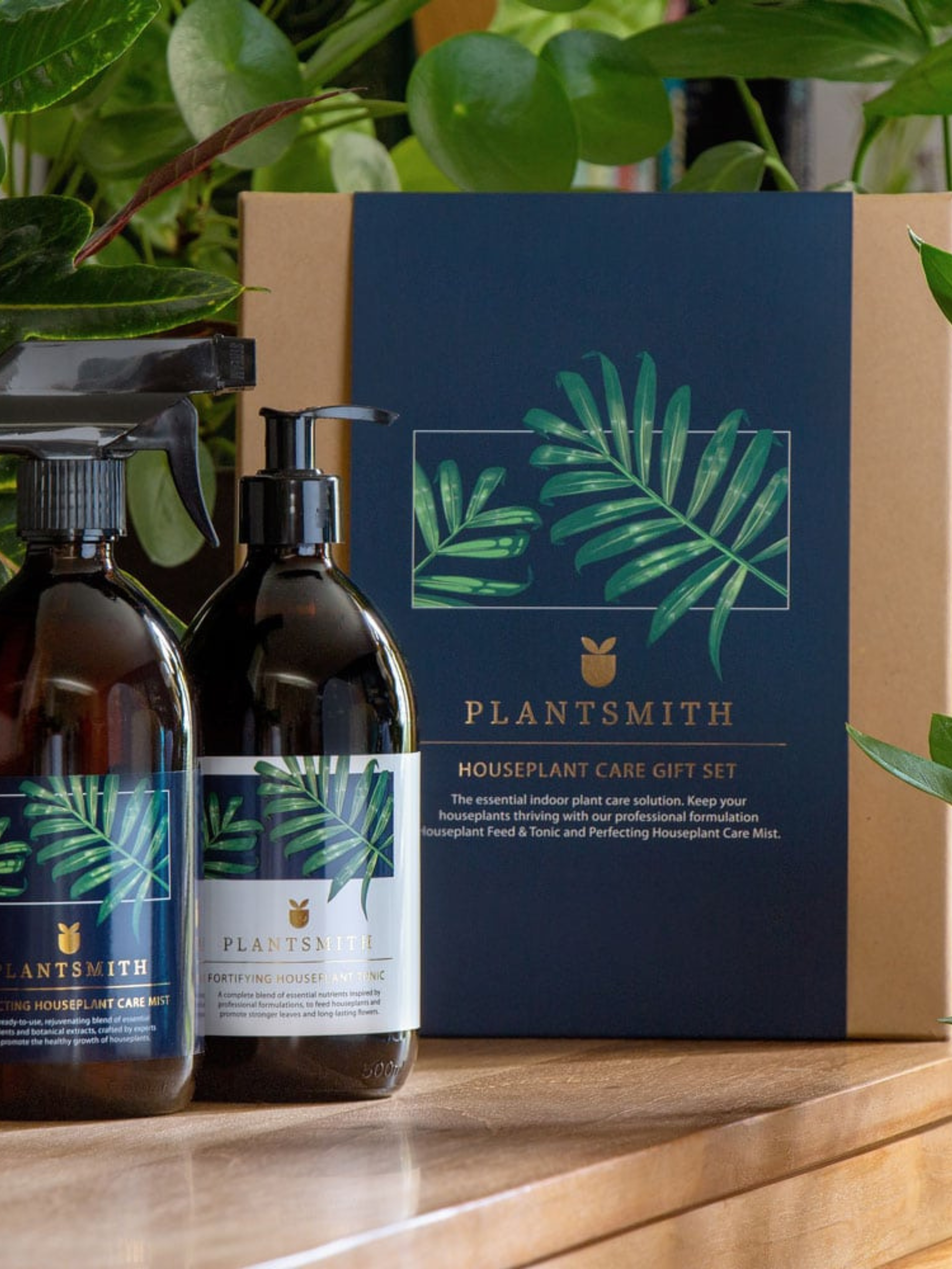 Houseplant Care Gift Set