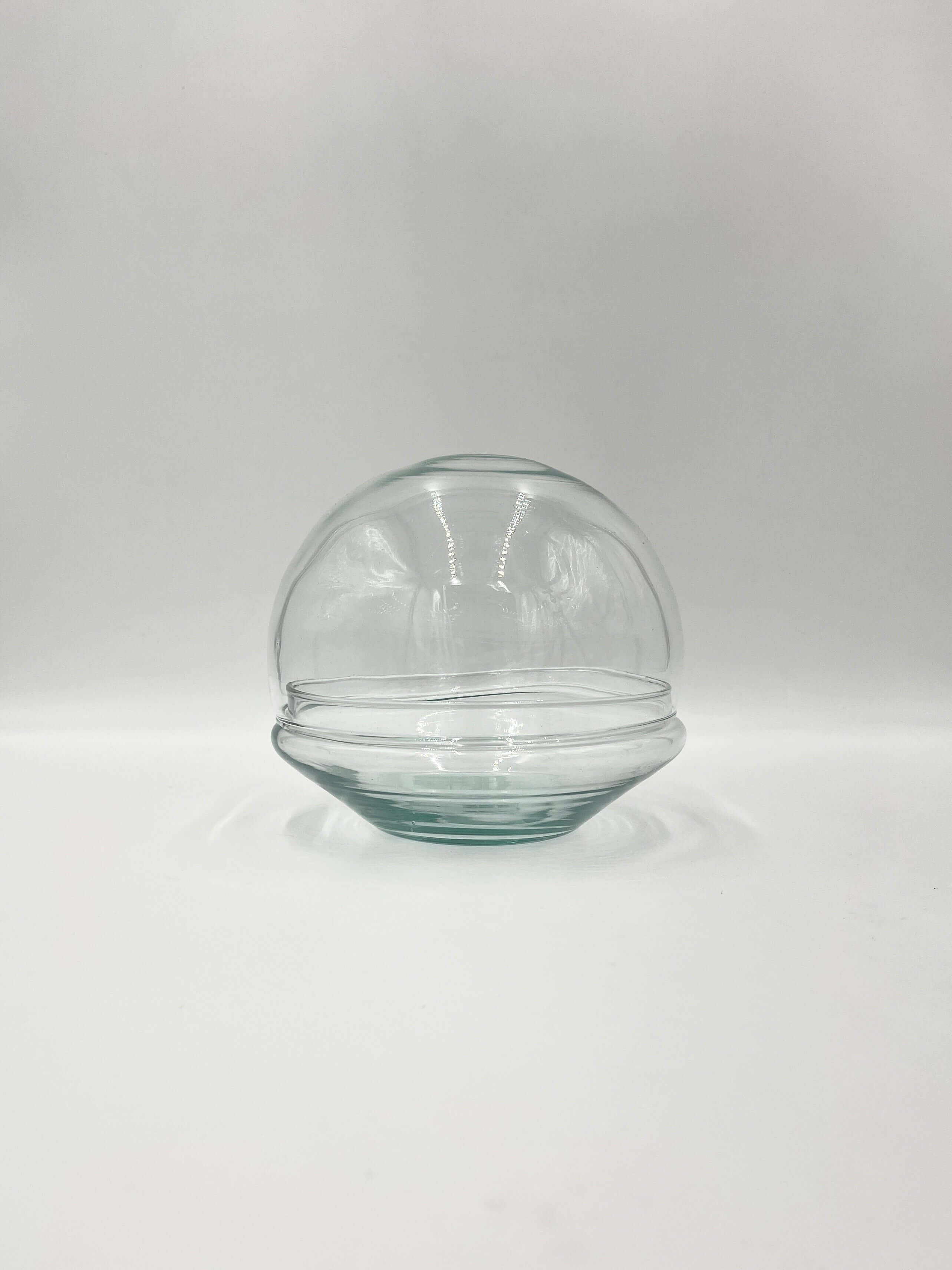 Glass Bowl Terrarium with glasscover