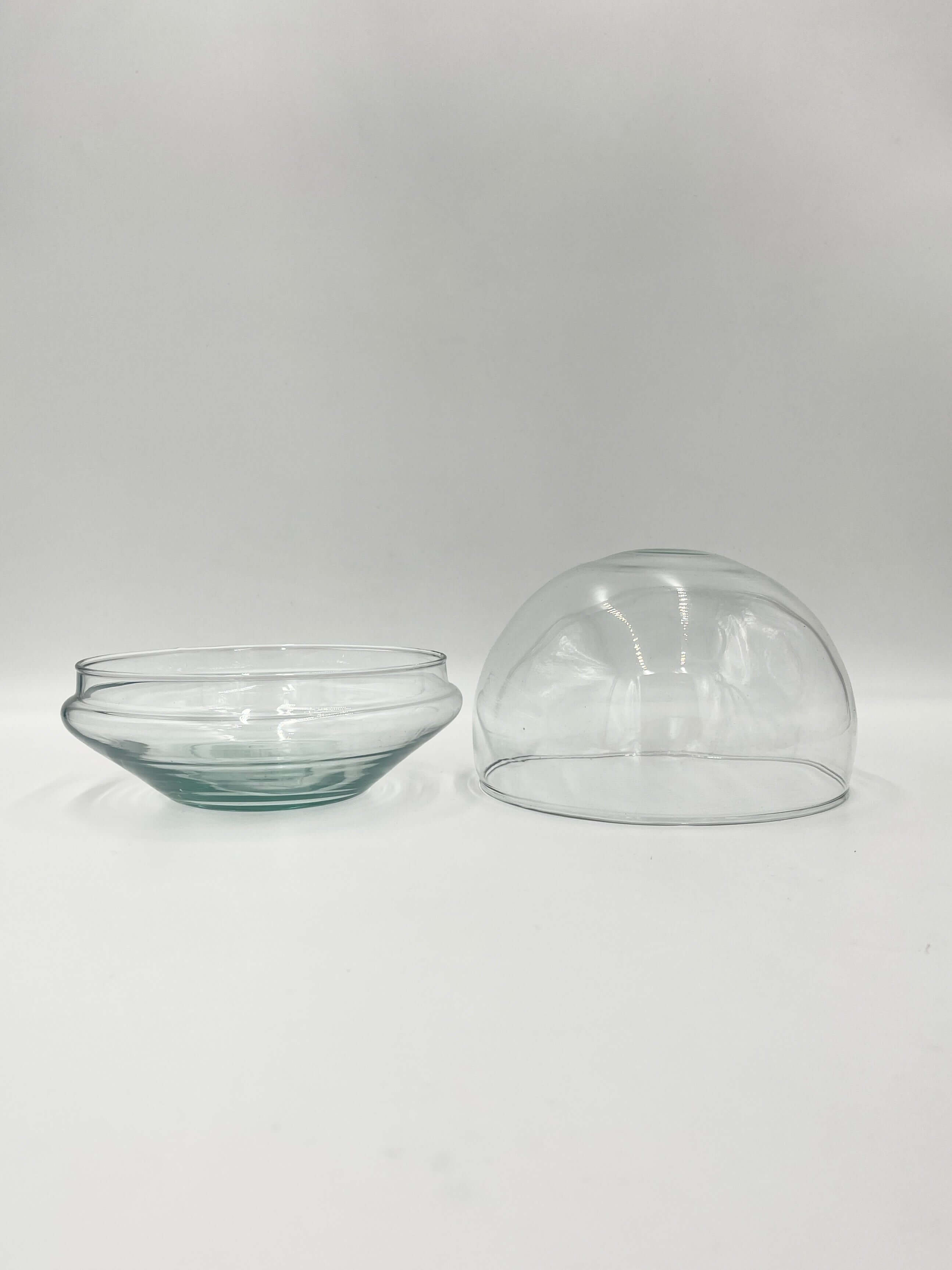 Glass Bowl Terrarium with glasscover