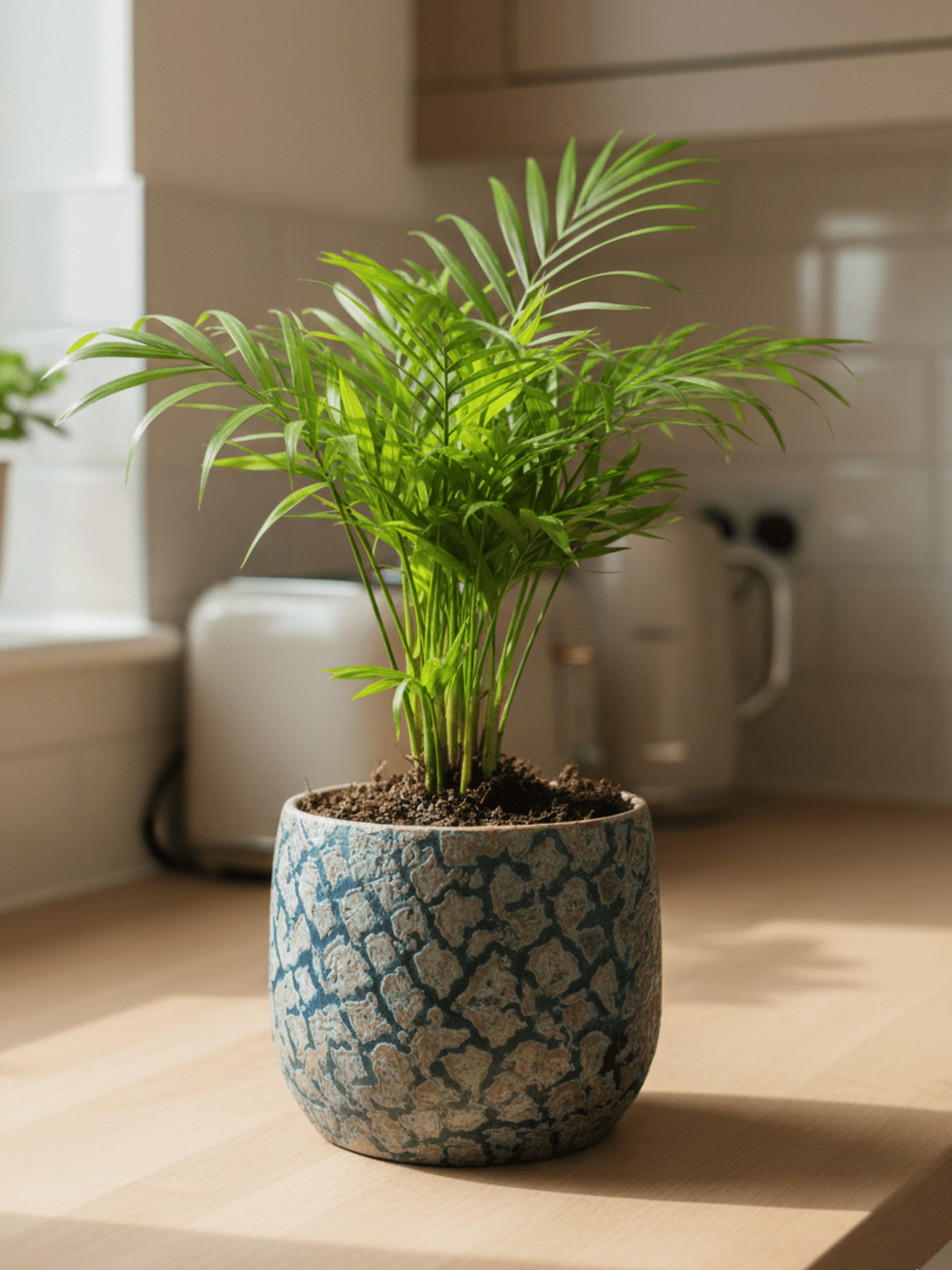 Islay_Handmade_Plant_Pots_Blue_Copper_Indoor_Plant_Pot_in_Multiple_Sizes