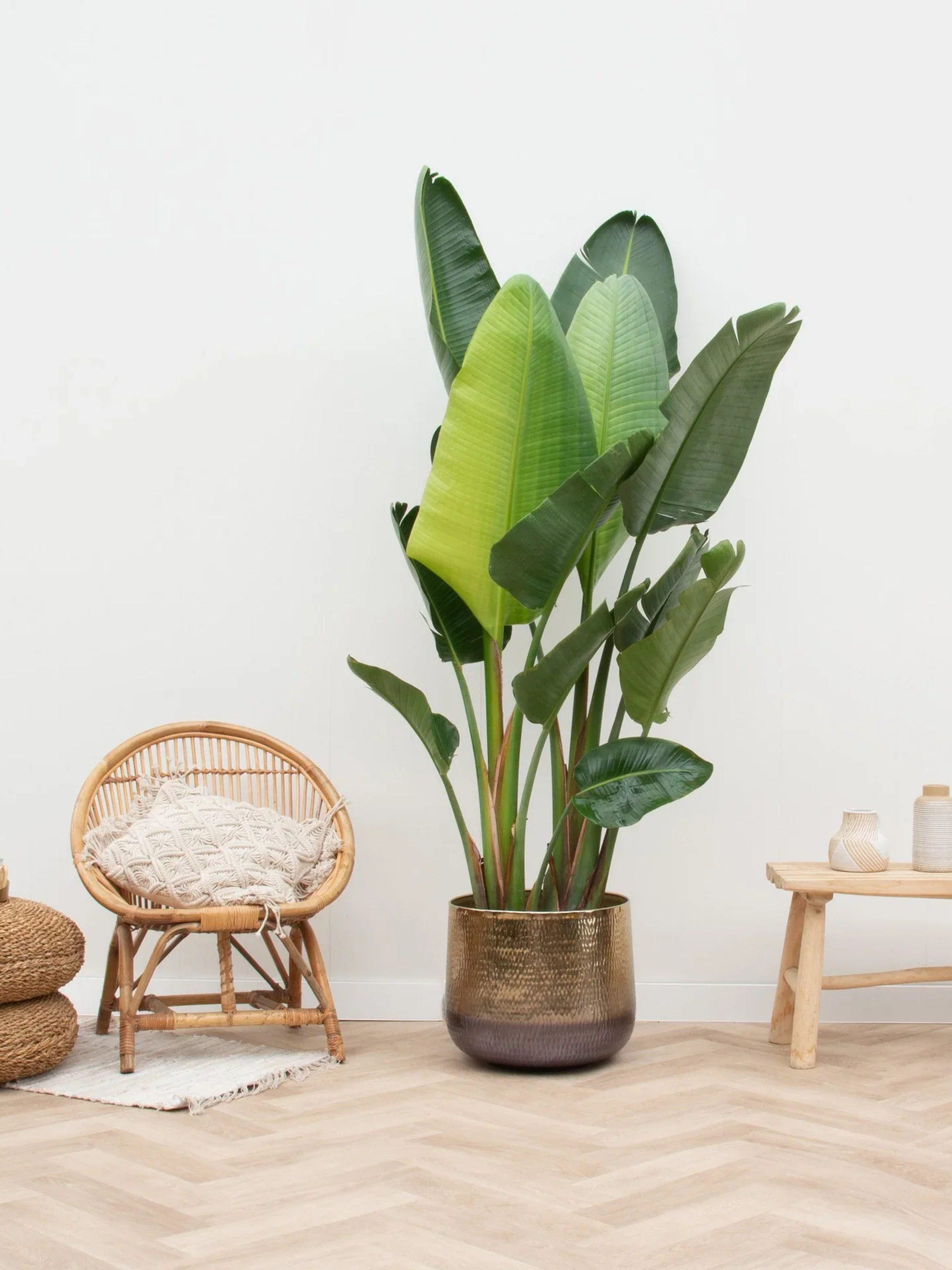 Jenna_Gold_Metal_Plant_Pots_XL_-_29cm-46cm