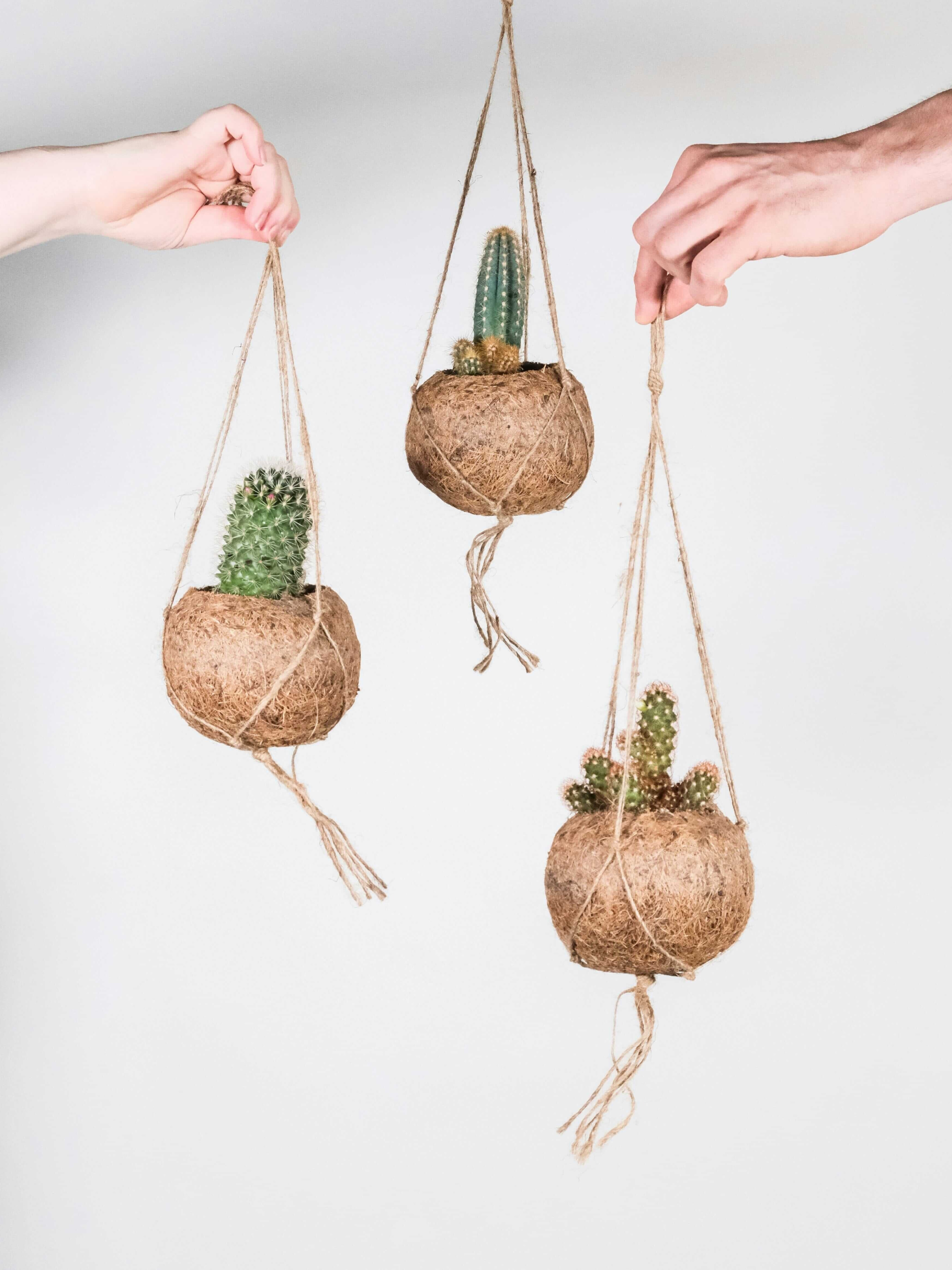 Kokedama_Hanging_Plant_Pots_Coconut_Fibre