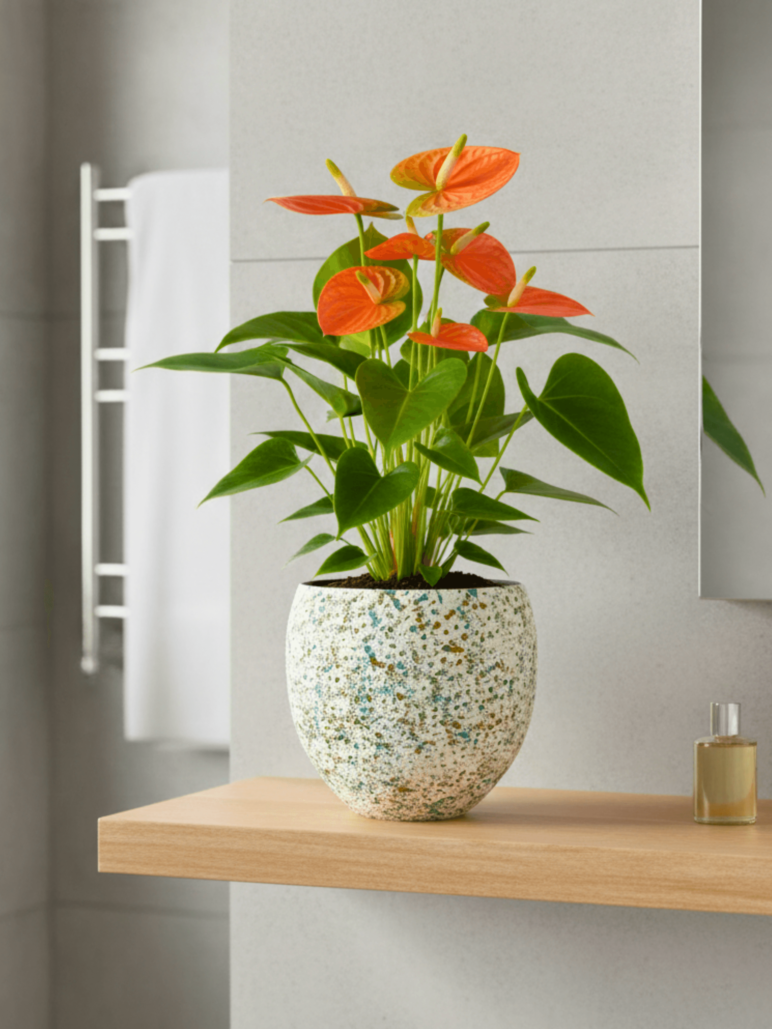 Nikai_Blue_Ceramic_Plant_Pot__Multiple_Sizes__Rebel_Plants