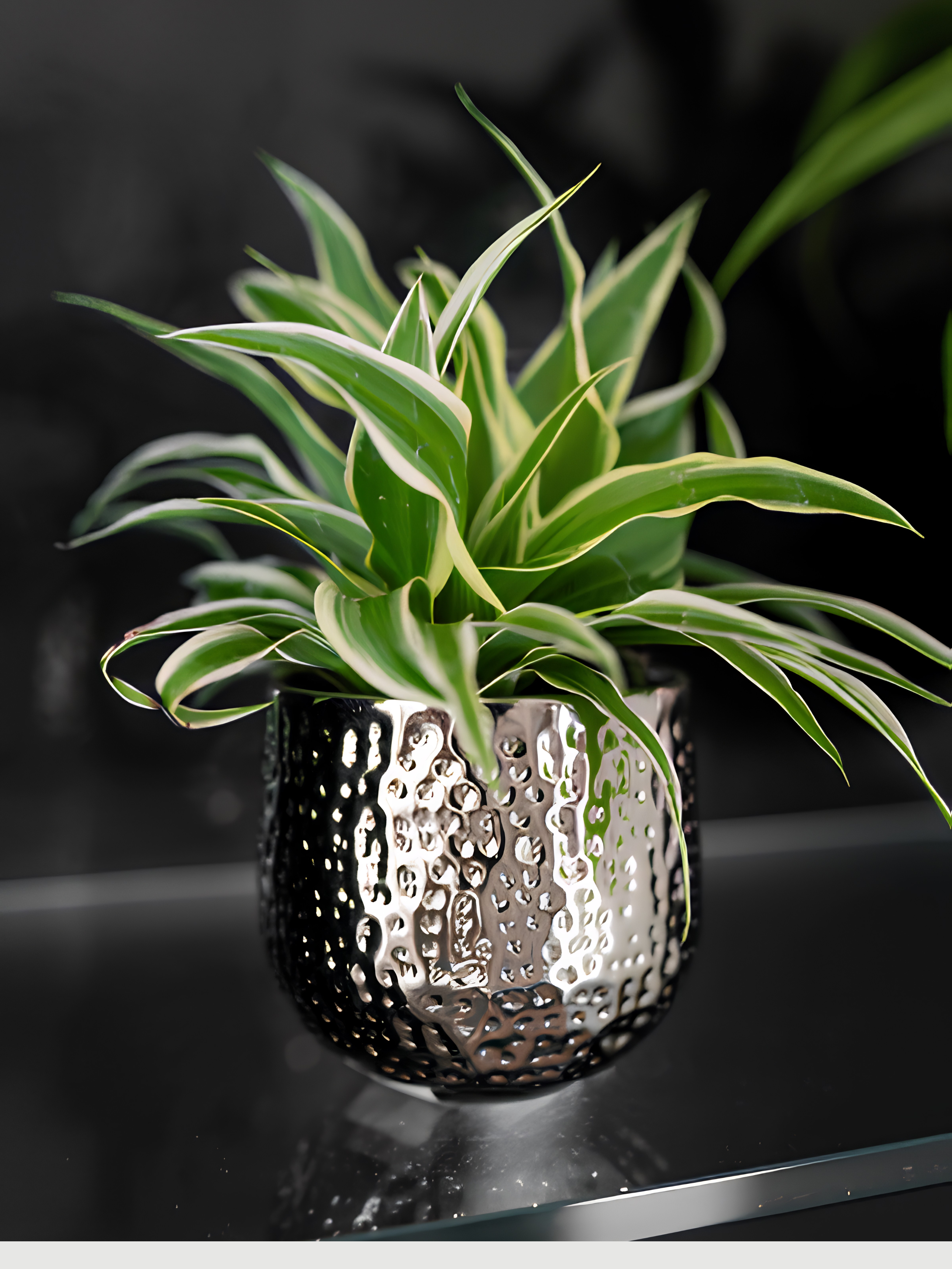 Ribbed Metal Plant Pot Silver, Kristy, In Multiple Sizes