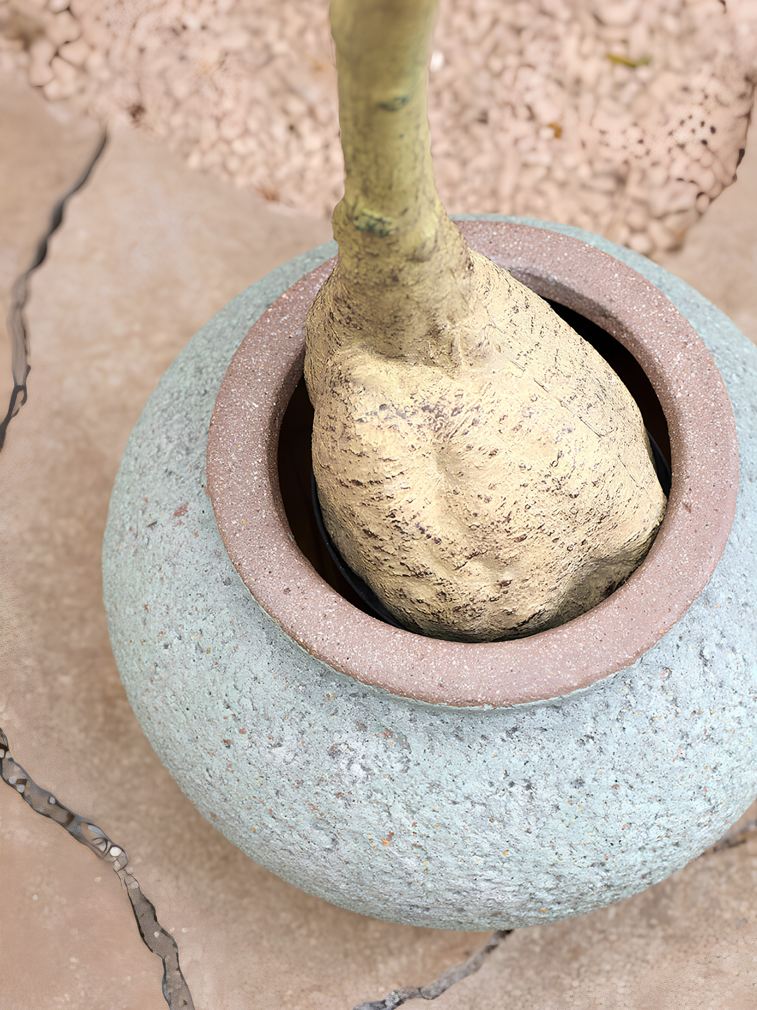 Zeus Plant Pot, Rustic Green, Indoor & Outdoor Mediterranean Collection