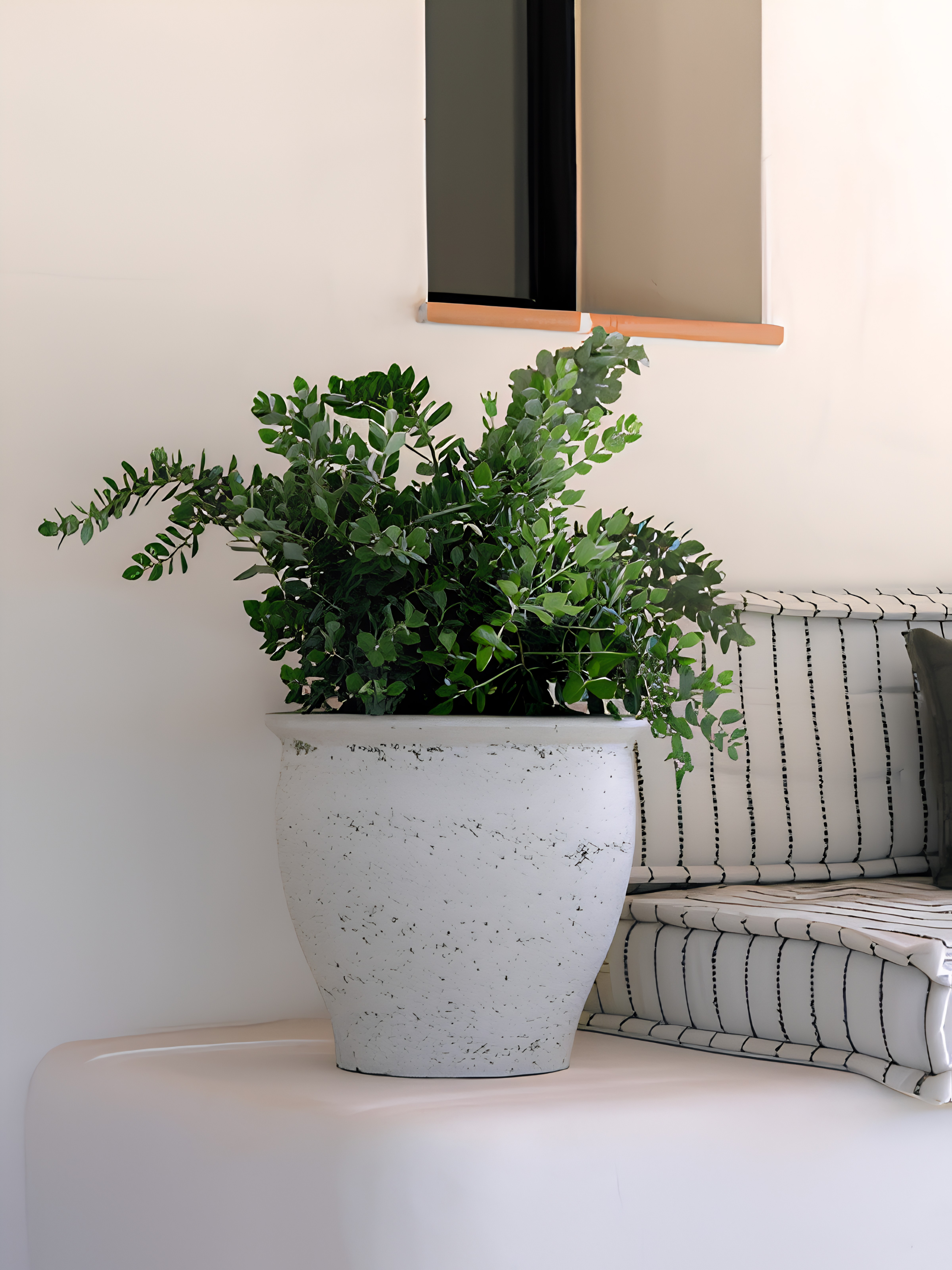 Poseidon Mediterranean Plant Pot – Chalk White