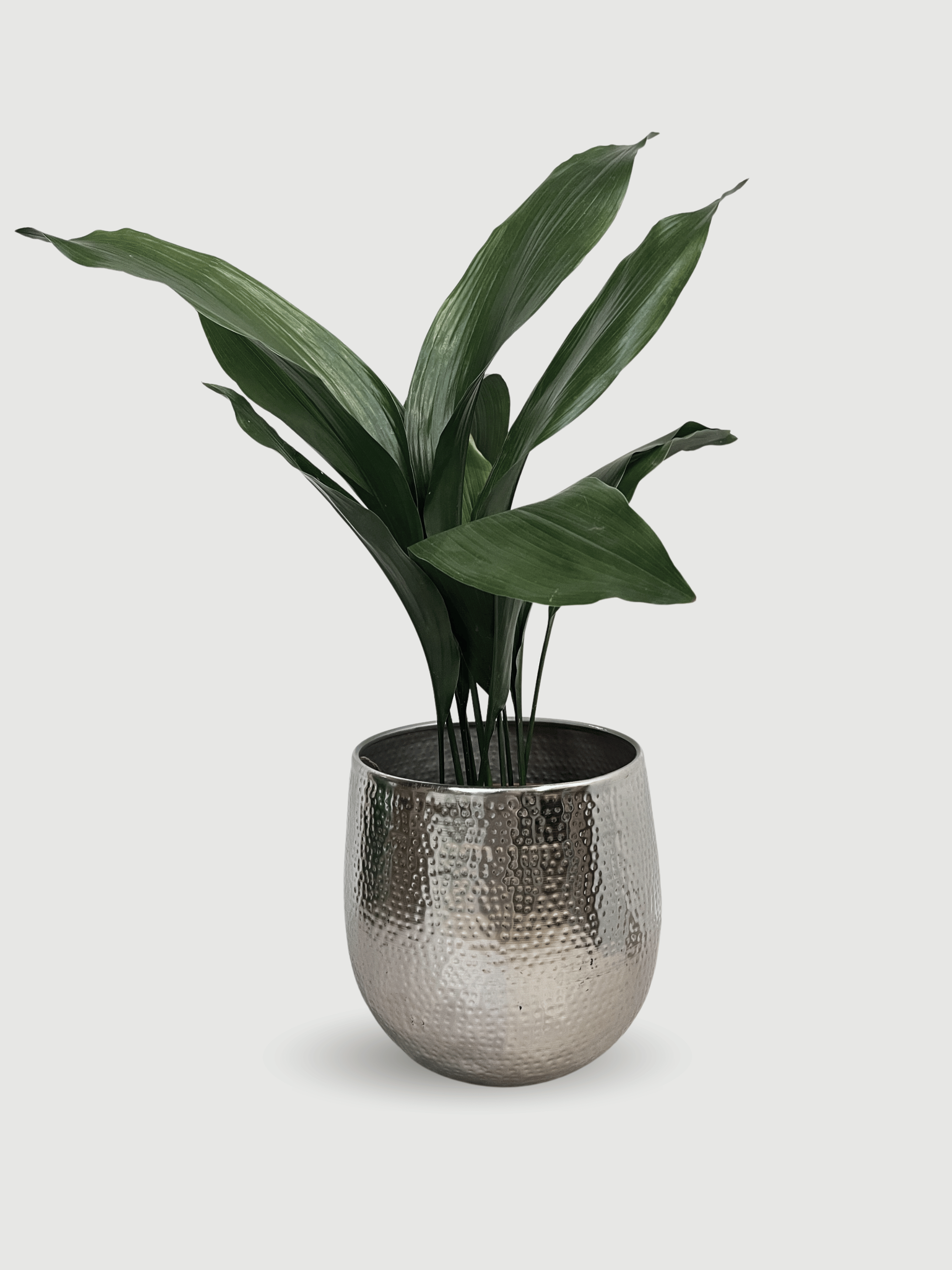 Ribbed Metal Plant Pot Silver, Kristy, In Multiple Sizes
