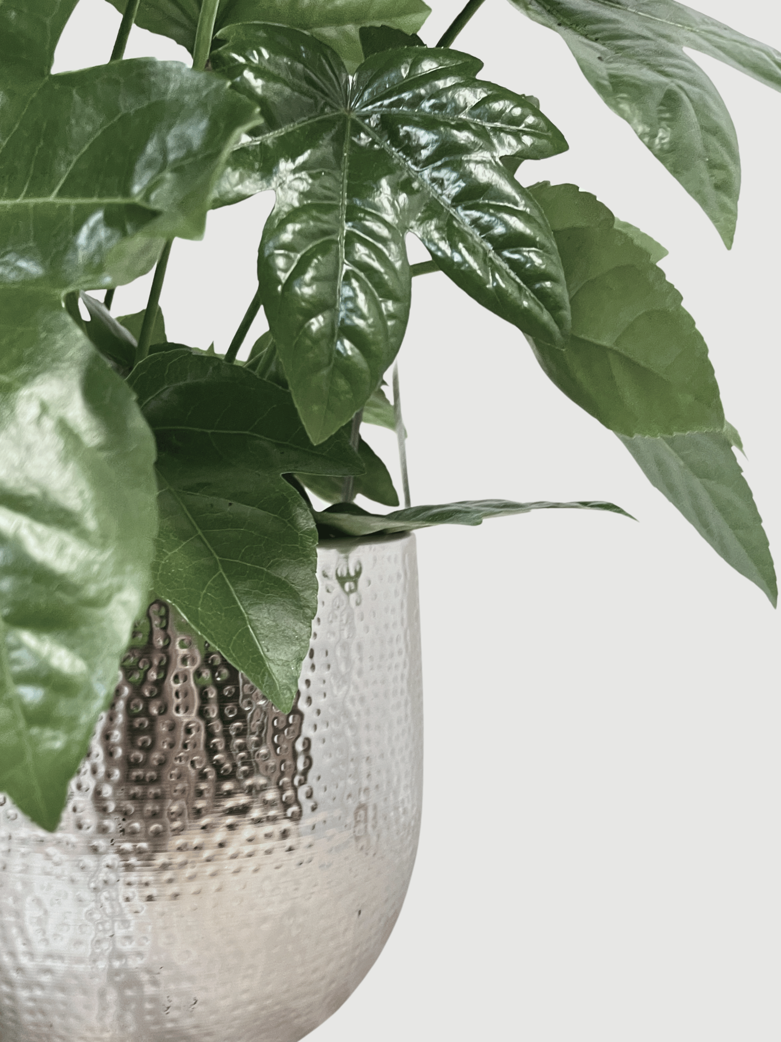 Ribbed Metal Plant Pot Silver, Kristy, In Multiple Sizes