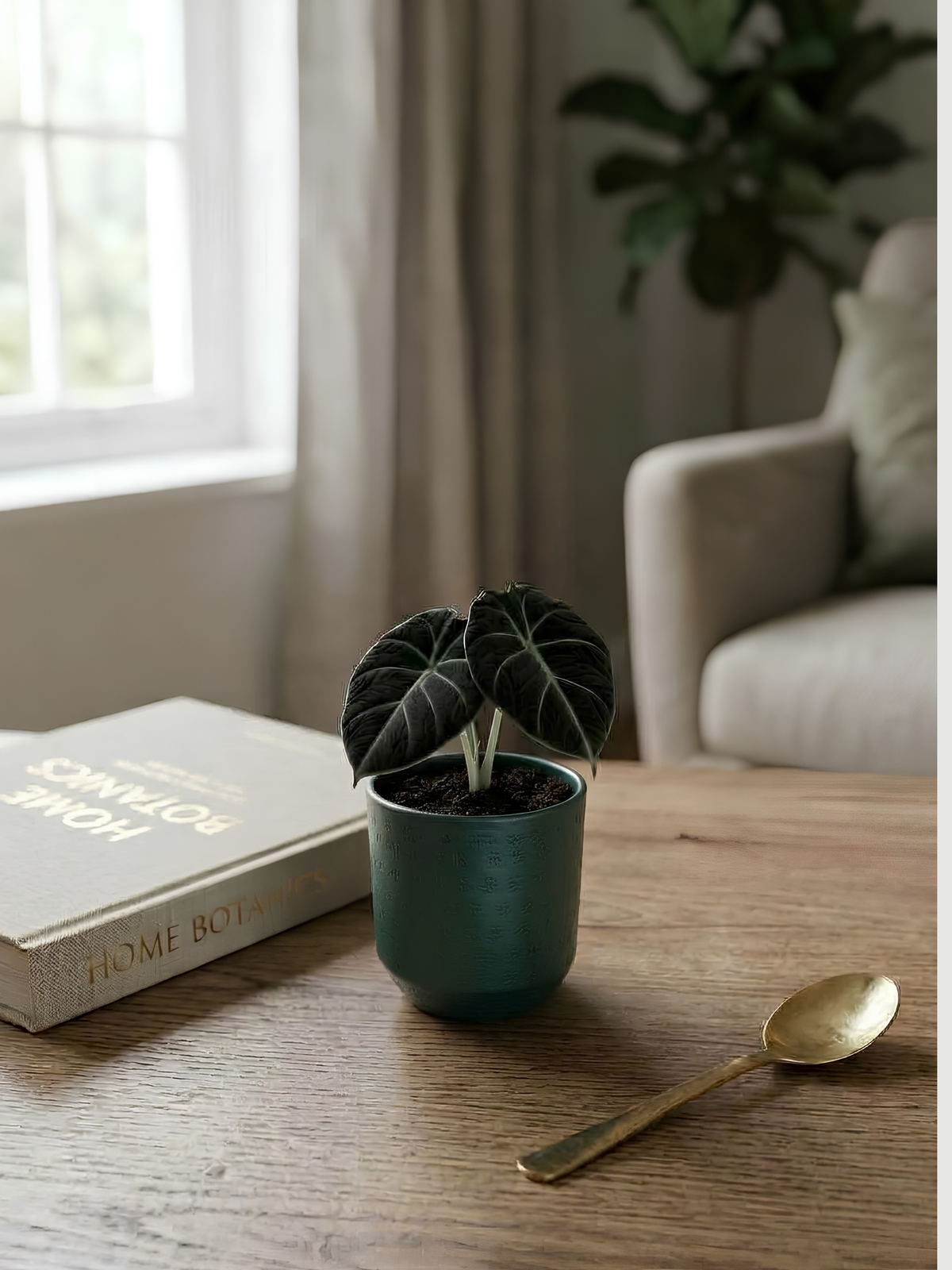 Ivan, Metal Plant Pots, Green, 7cm - 8cm Small House Plant Pot