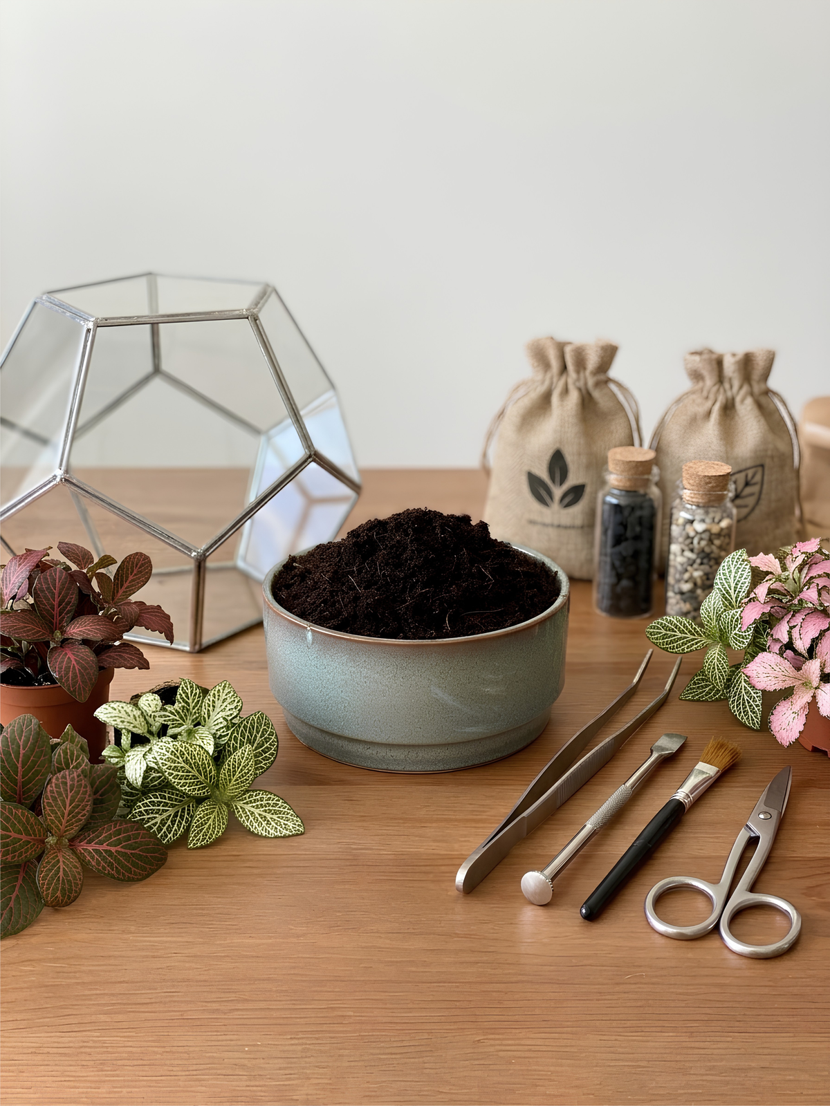 Premium Terrarium Soil Mix for Vibrant Greenery