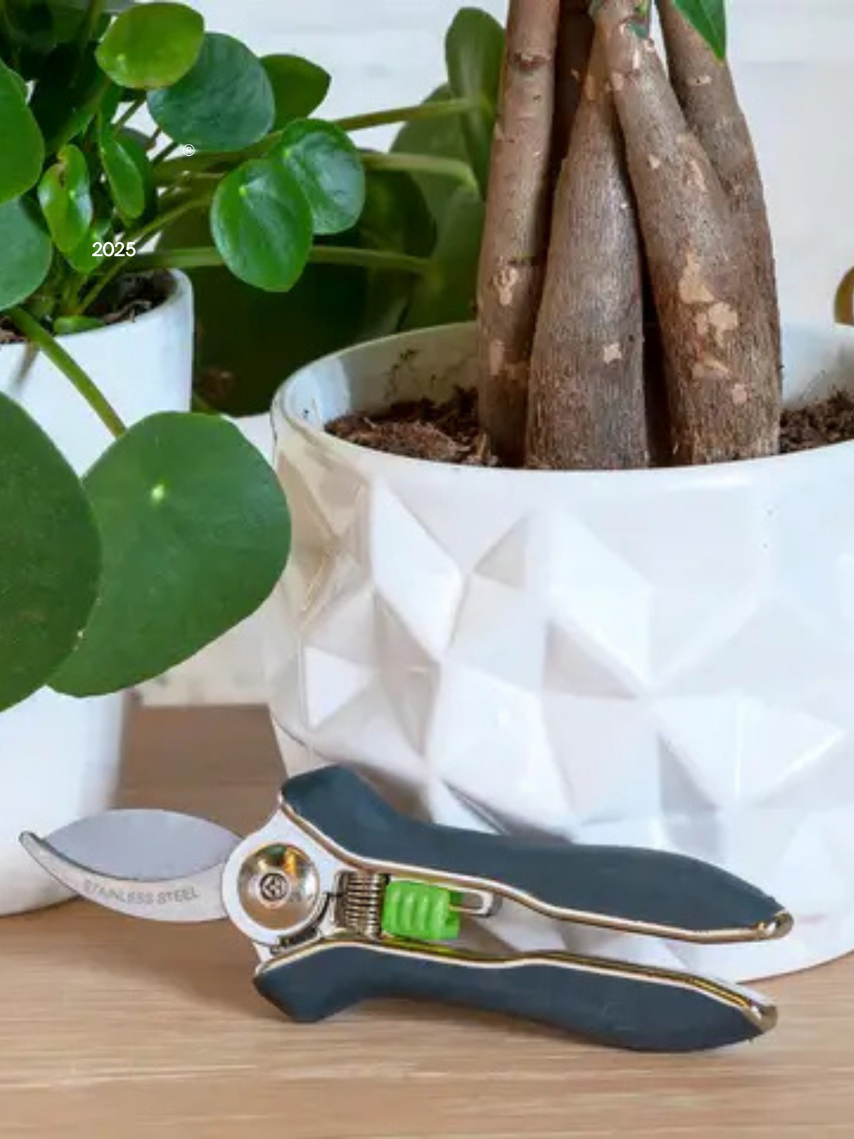 Houseplant Pruner