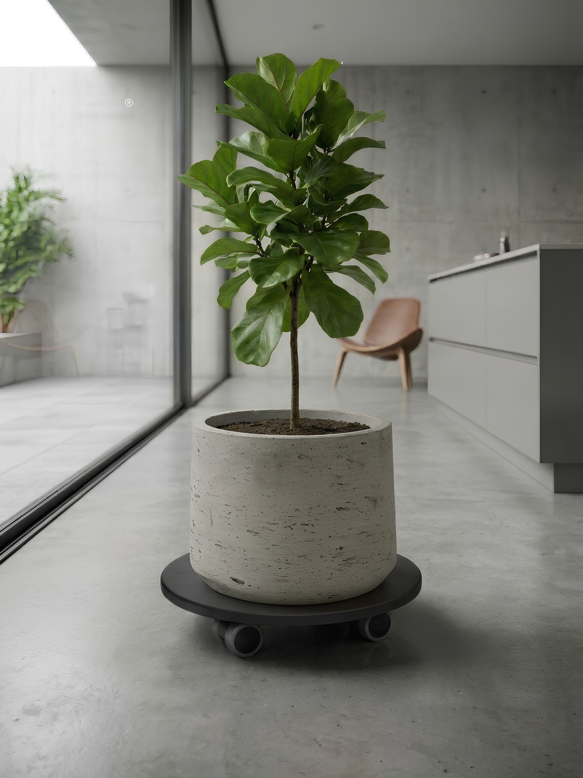 Round Wheelplate – Black Heavy-Duty Plant Caddy