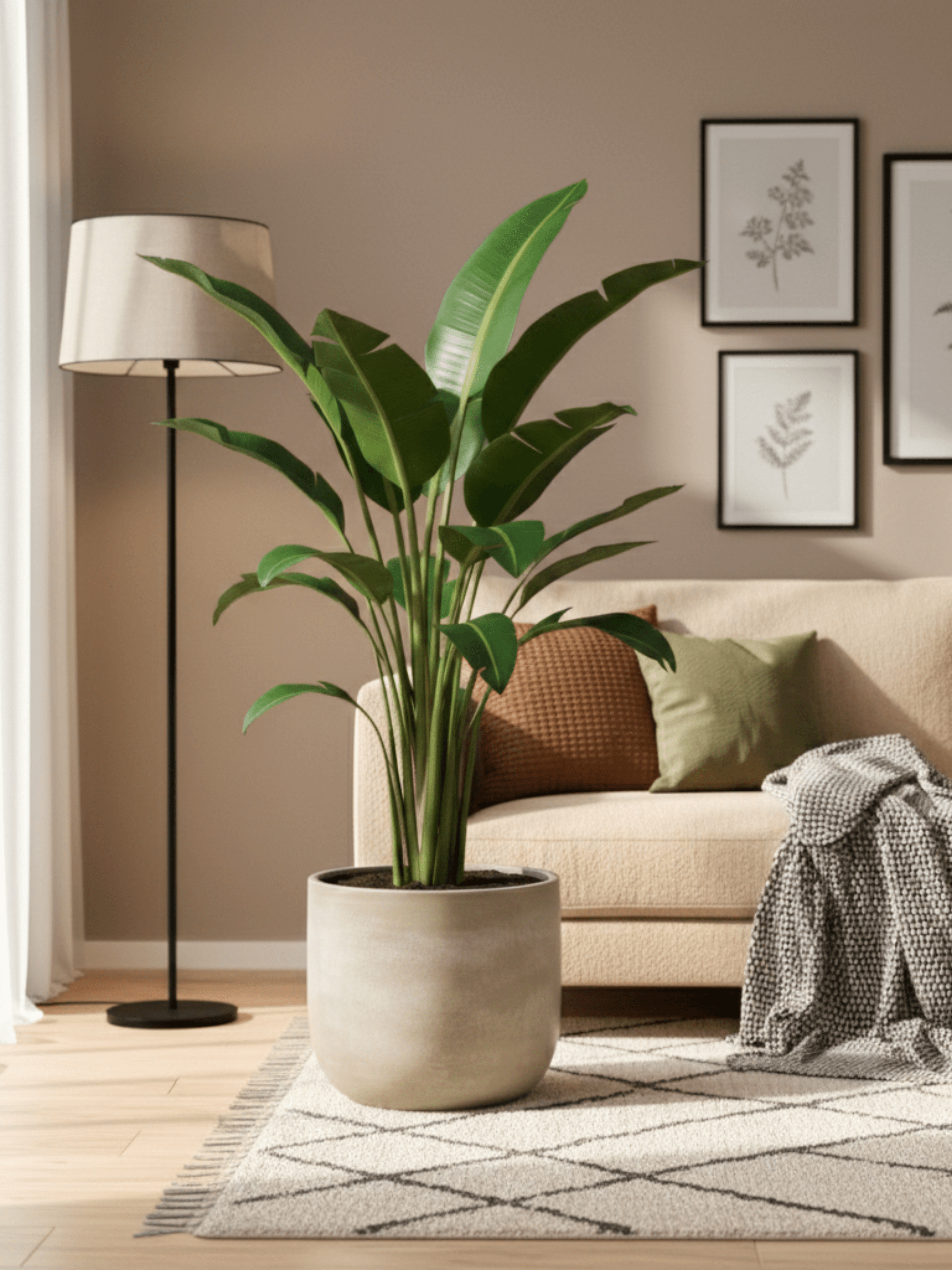 Sevilla_Ceramic_Indoor_Plant_Pots_Off_White_Houseplant_Pot_Multiple_Sizes