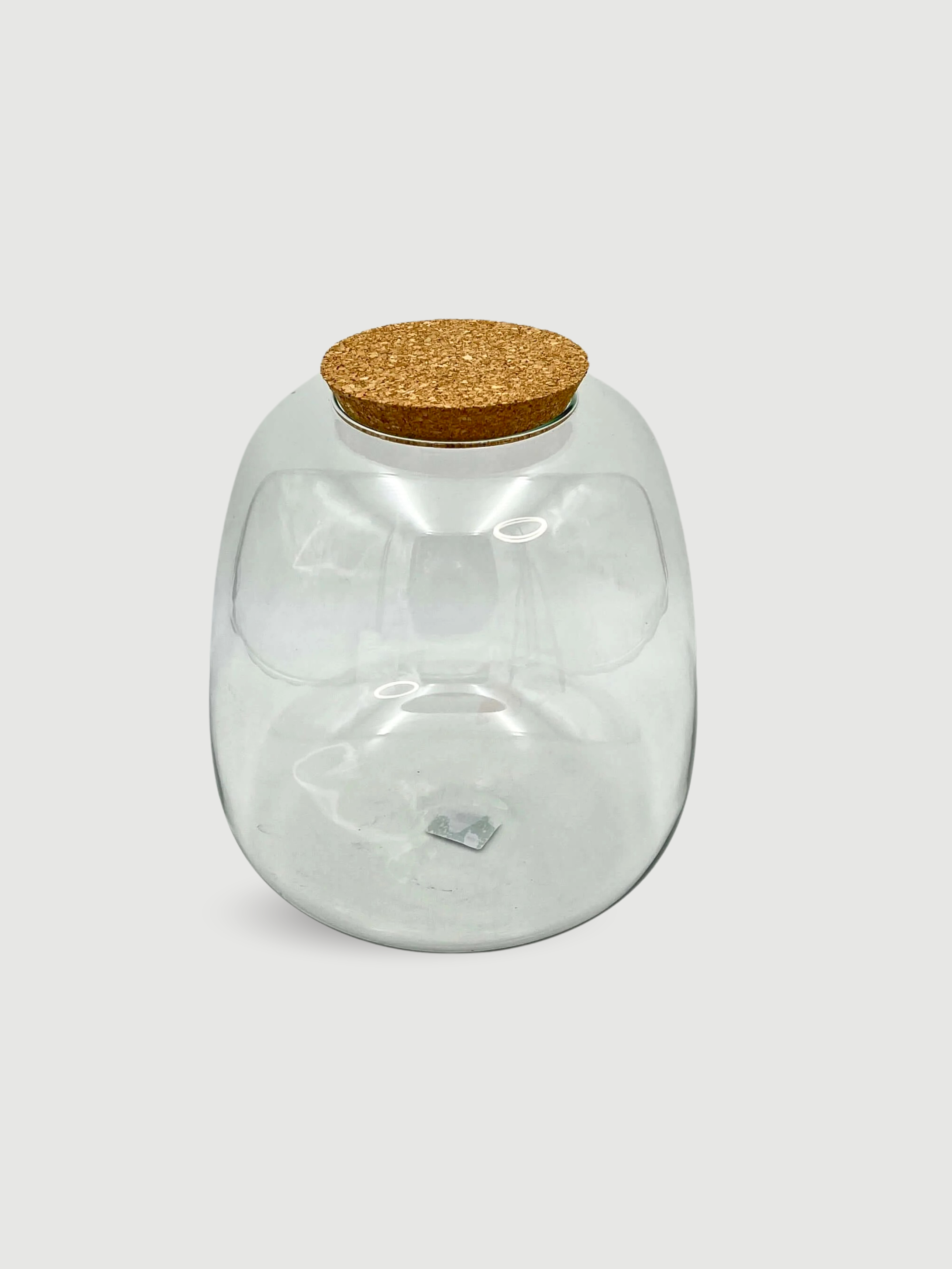 Terrarium_Vase_with_Cork_23_H25
