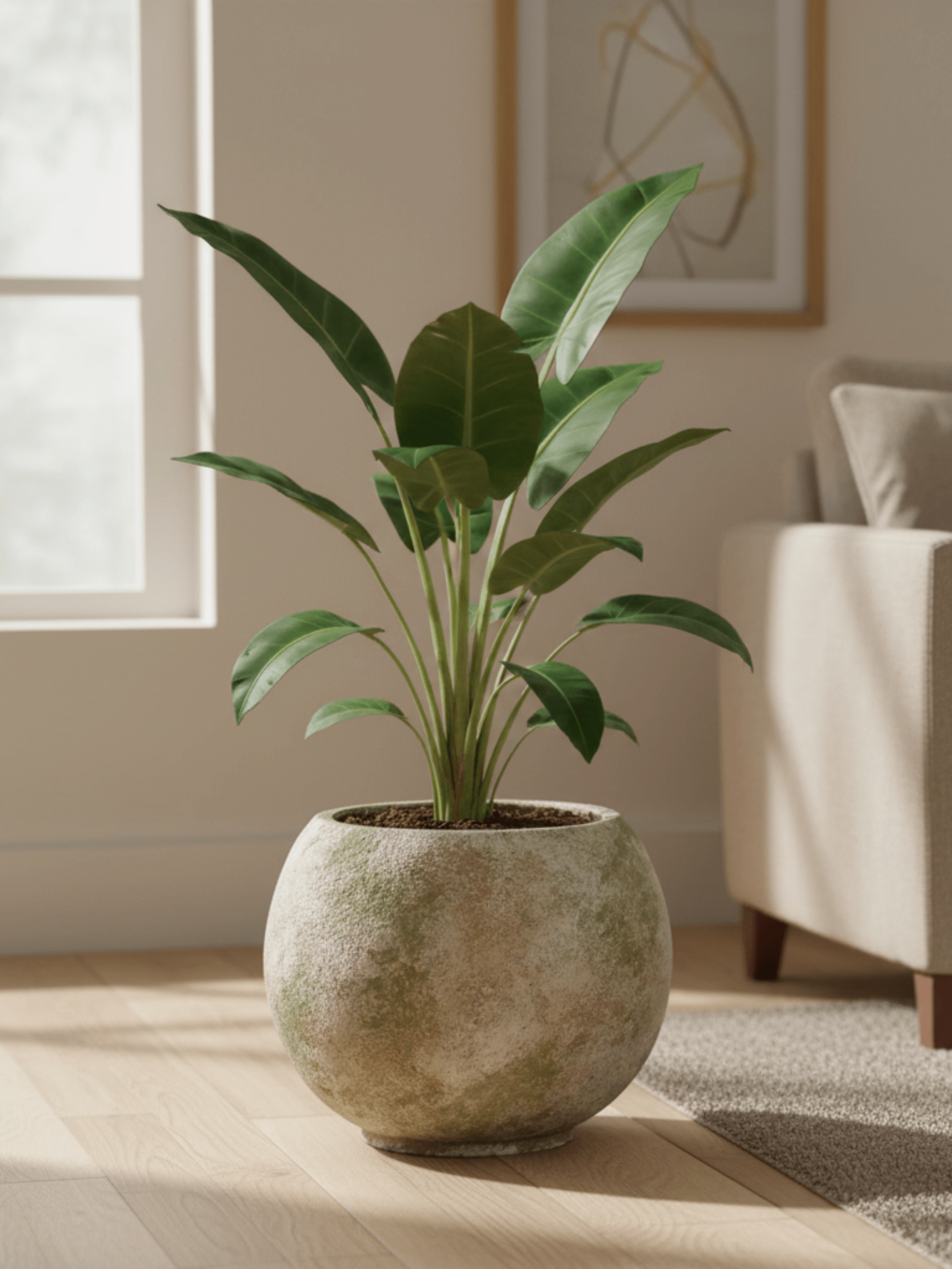 Tommy_Ceramic_Plant_Pot_Light_Green_Multiple_Sizes