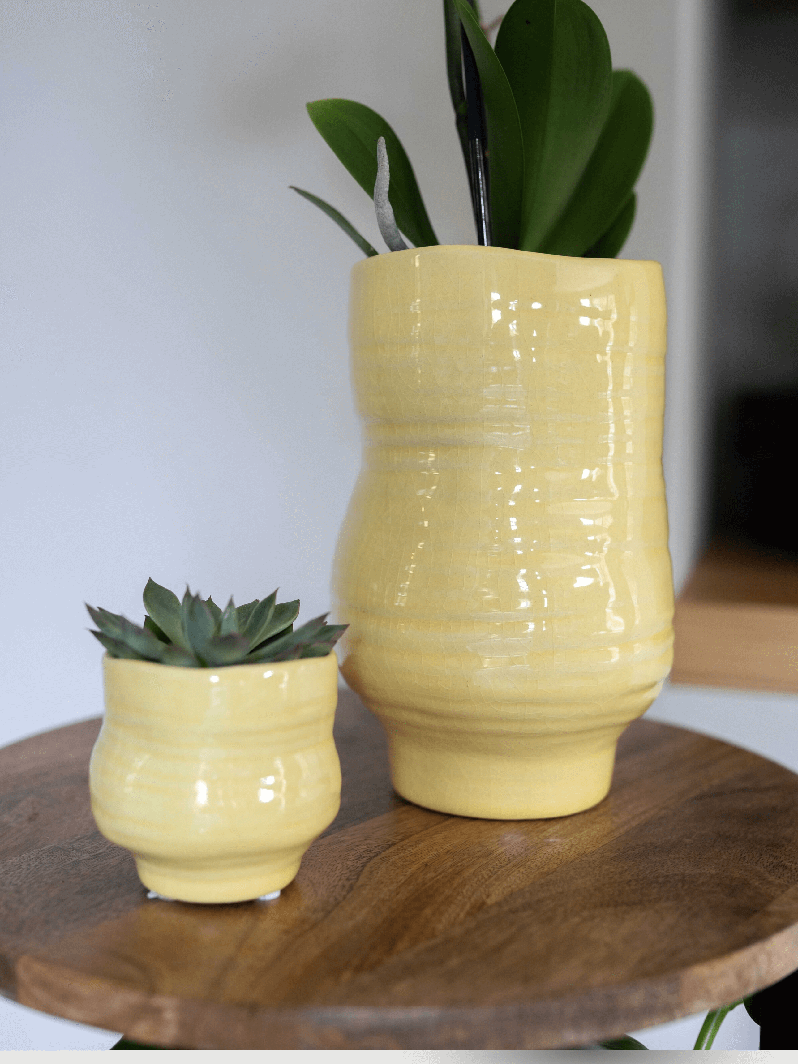 Veerle_Handmade_Ceramic_Plant_Pot_Yellow_D15_cm_Orchid_Pot
