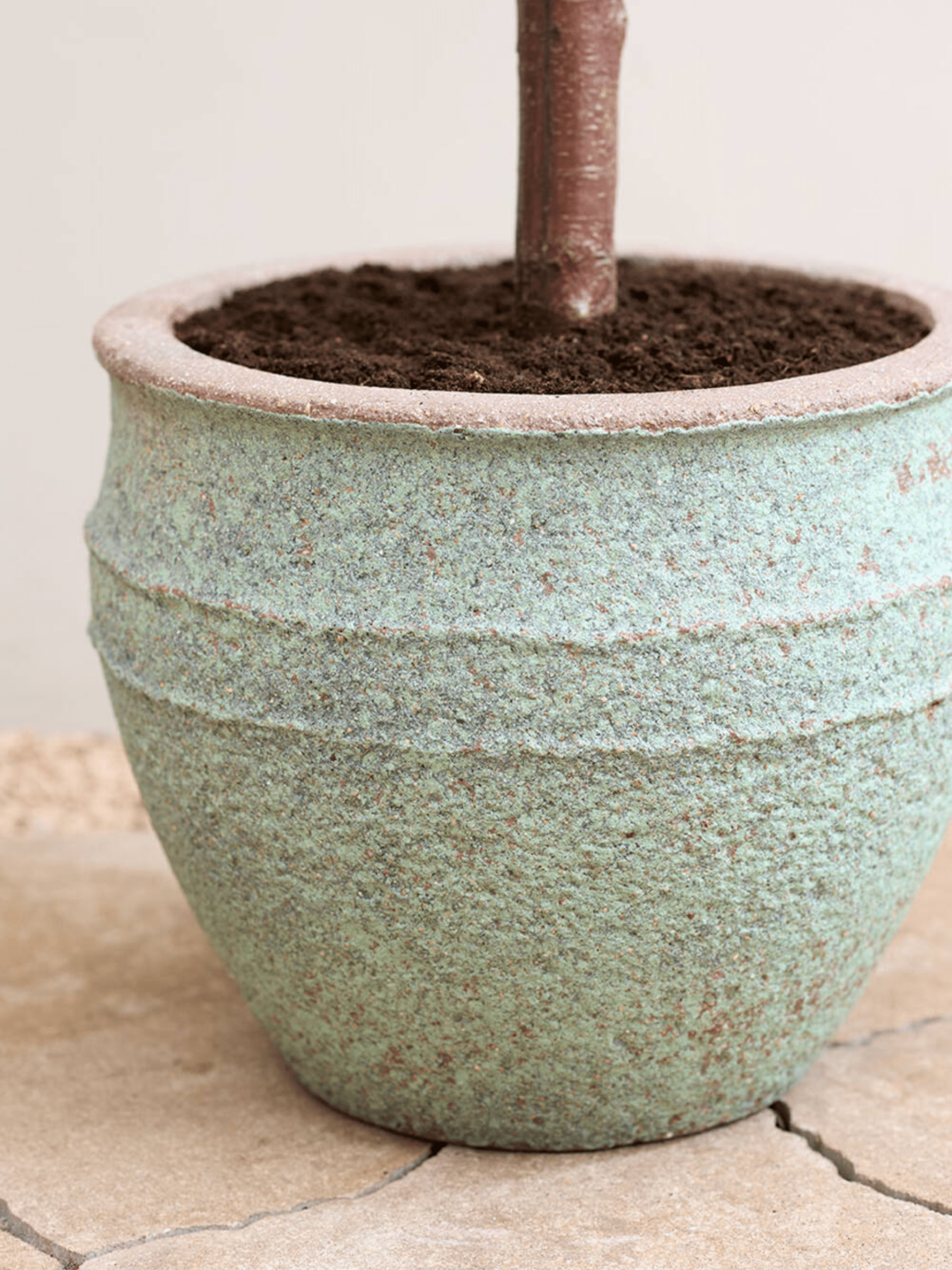 Athena_Mediterranean_Plant_Pot_Rustic_Green_Indoor__Outdoor_Mediterranean_Collection
