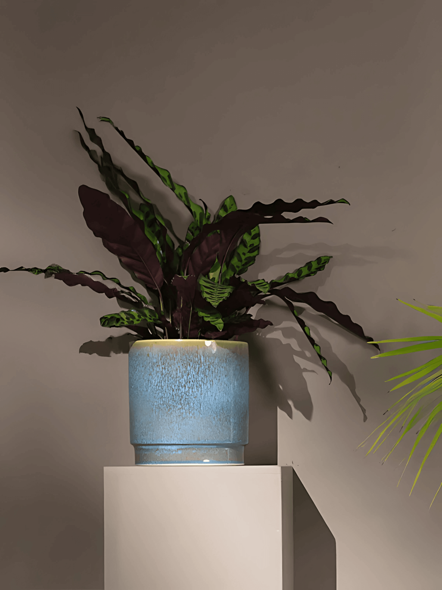 Sense Ceramic Plant Pots, Jade Blue, 21cm - 29cm