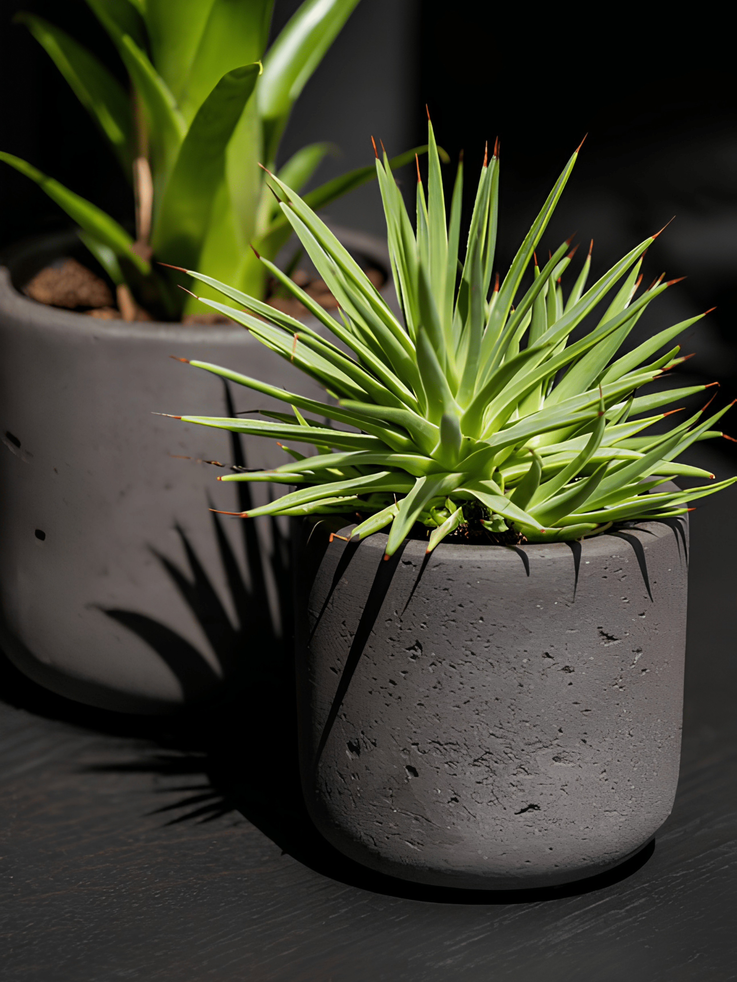 Charlie Rough Indoor, Outdoor Plant Pots, 8cm - 25cm, Black Washed - Rebel Plants