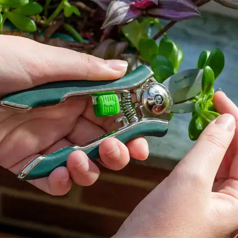 Houseplant Pruner