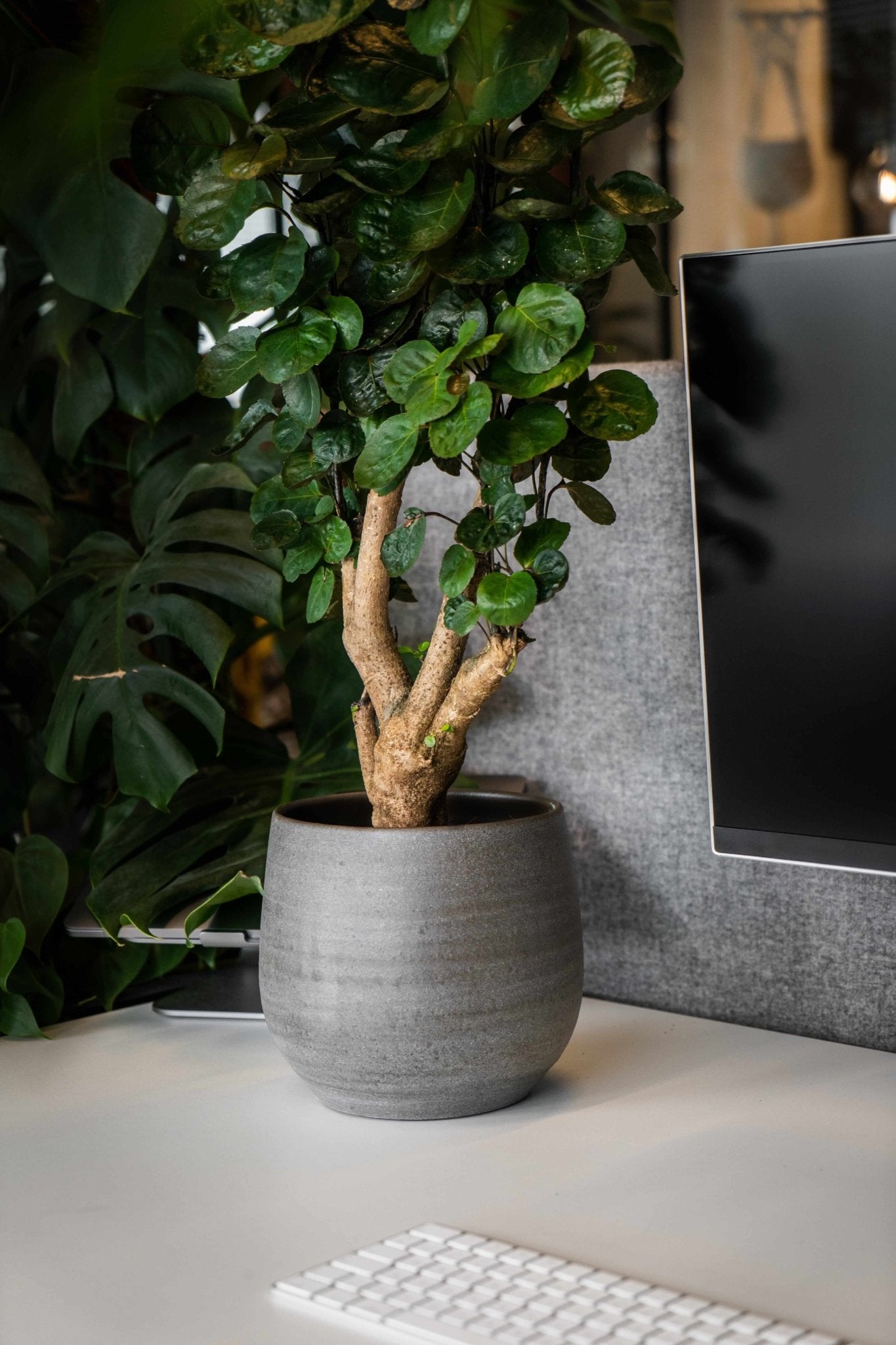 Esra Ceramic Plant Pots, Mystic Grey, Handmade