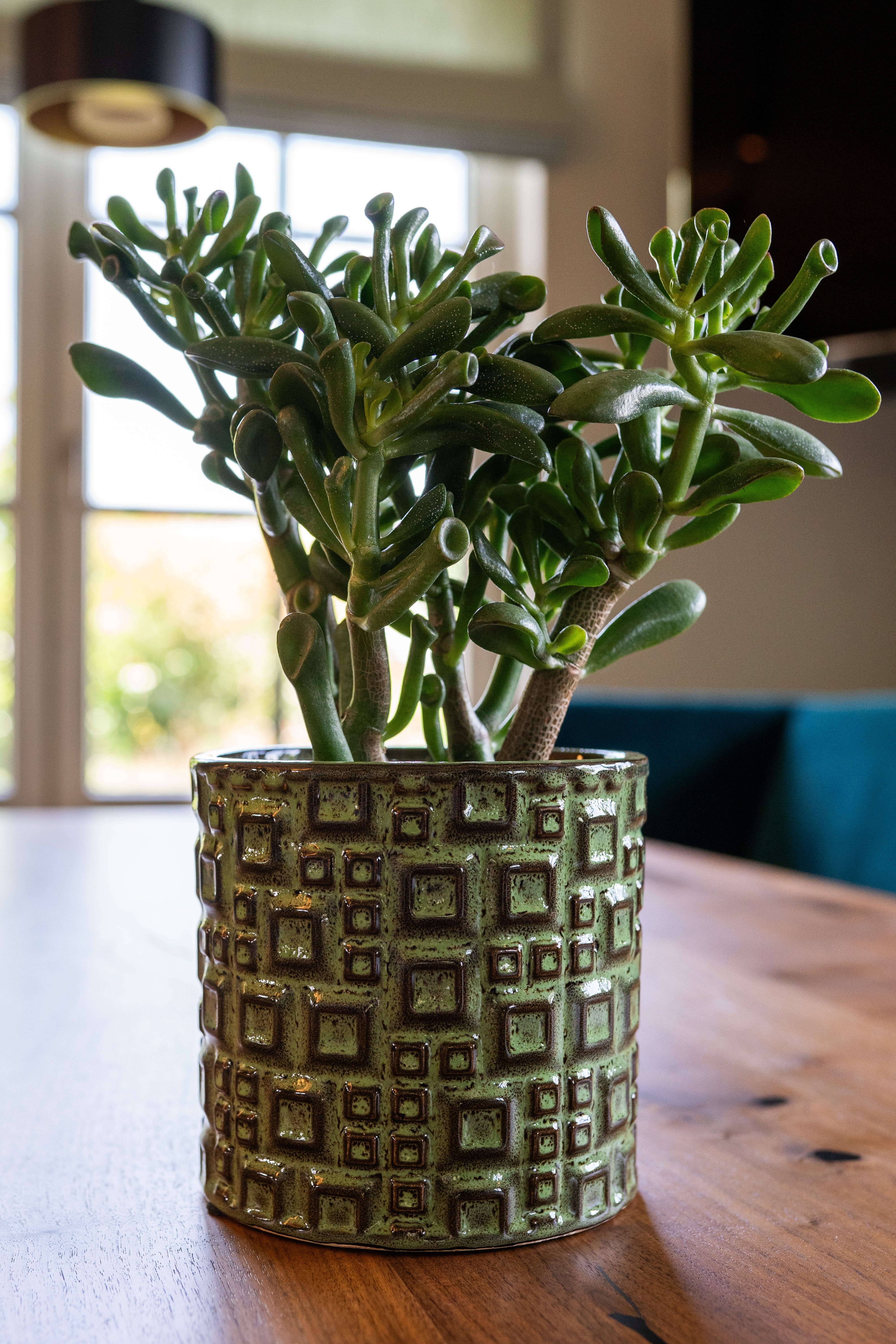 Fiene Ceramic Pot, Green, D14 cm