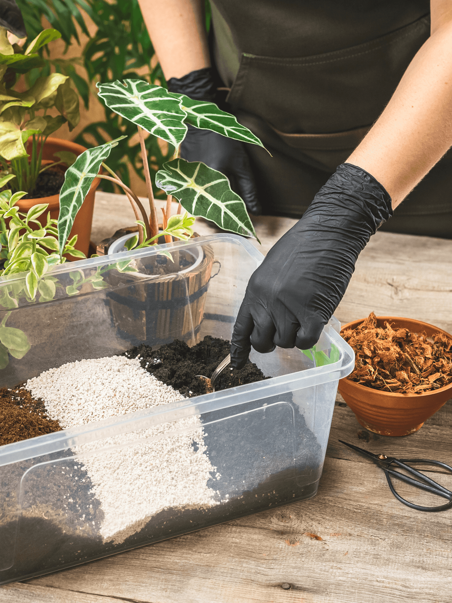 Coco-Coir, Organic Peat-Free Potting Compost - Eco-Friendly Growing Medium for Houseplants