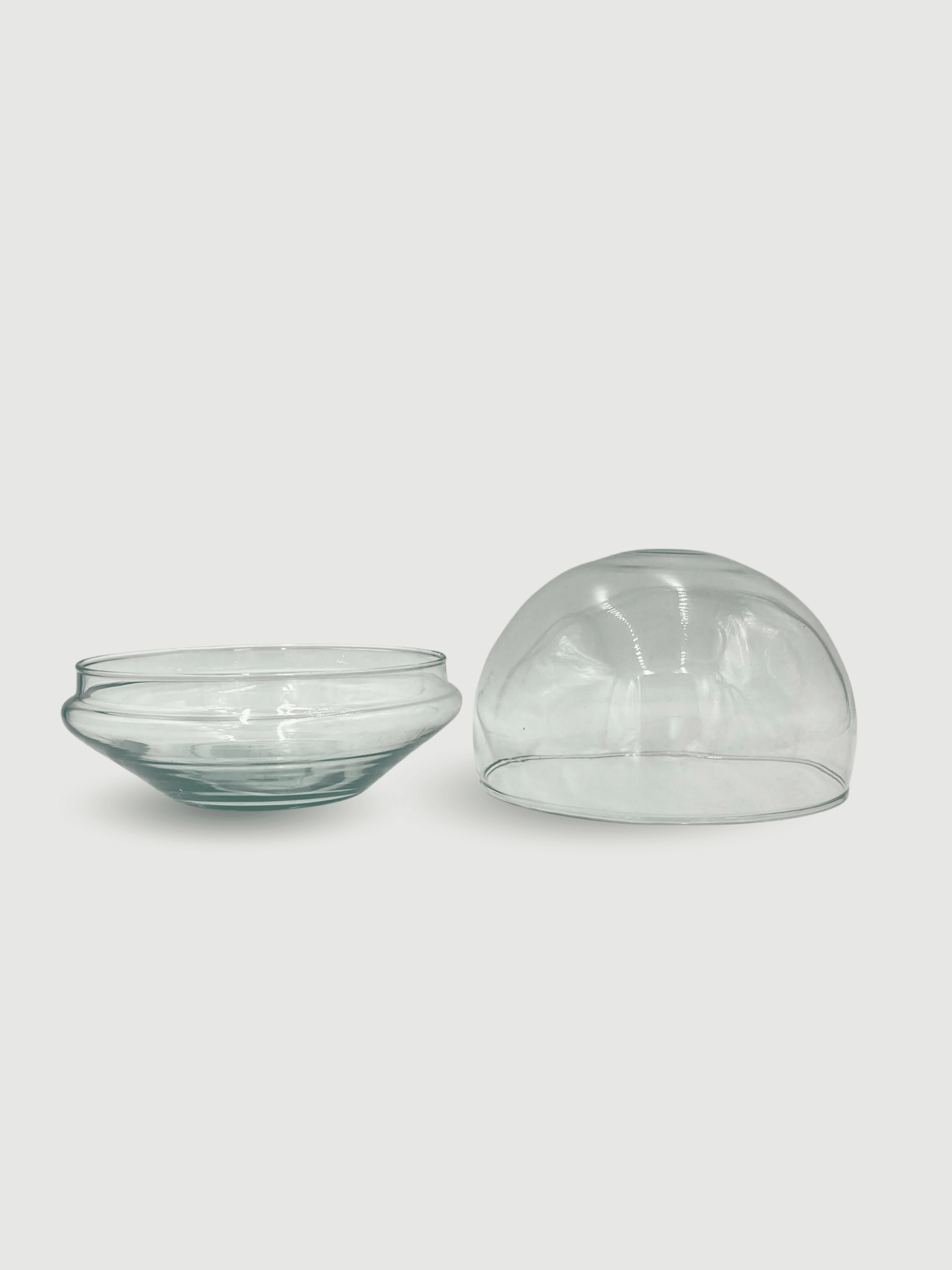 Glass_Bowl_Terrarium_with_glasscover_20cm