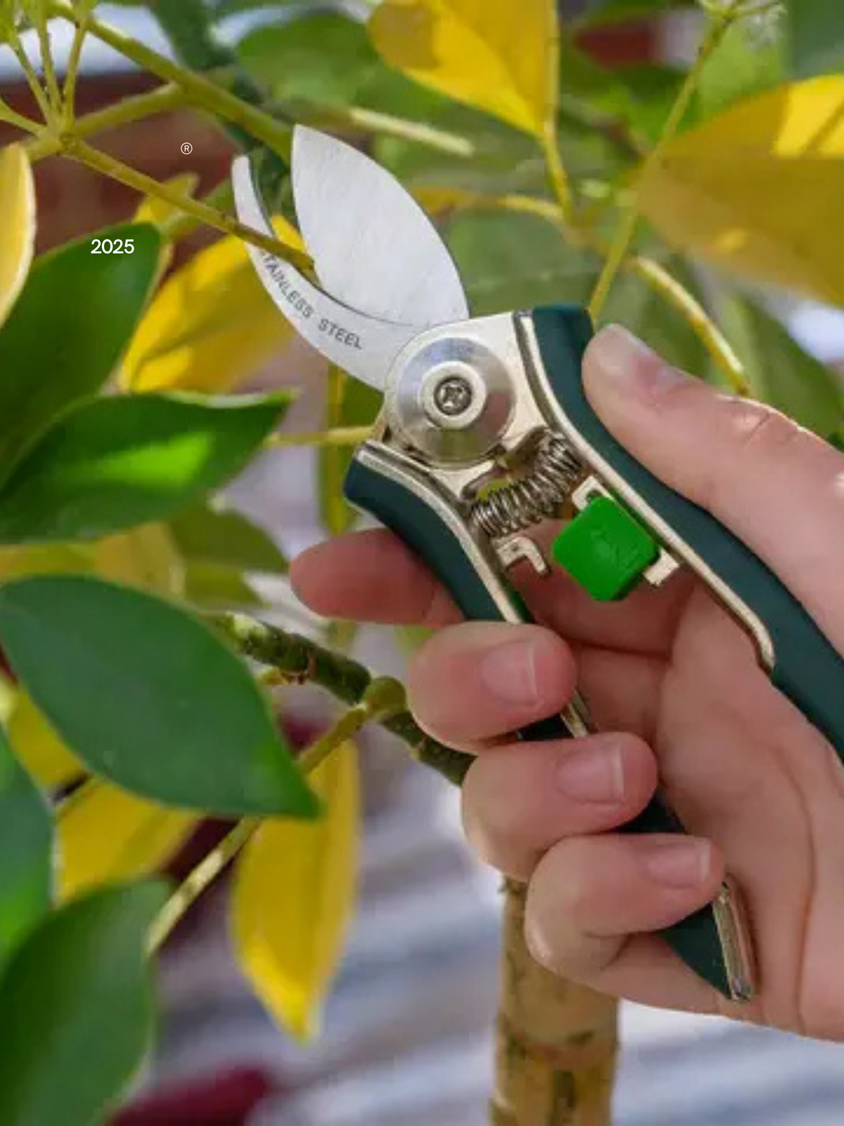Houseplant Pruner - Rebel Plants
