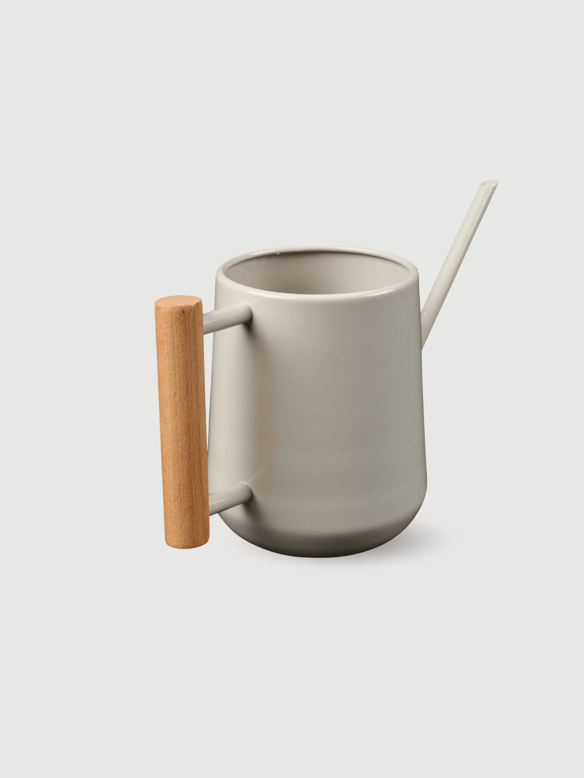 Indoor Small Metal Watering Can | 700ml - Rebel Plants