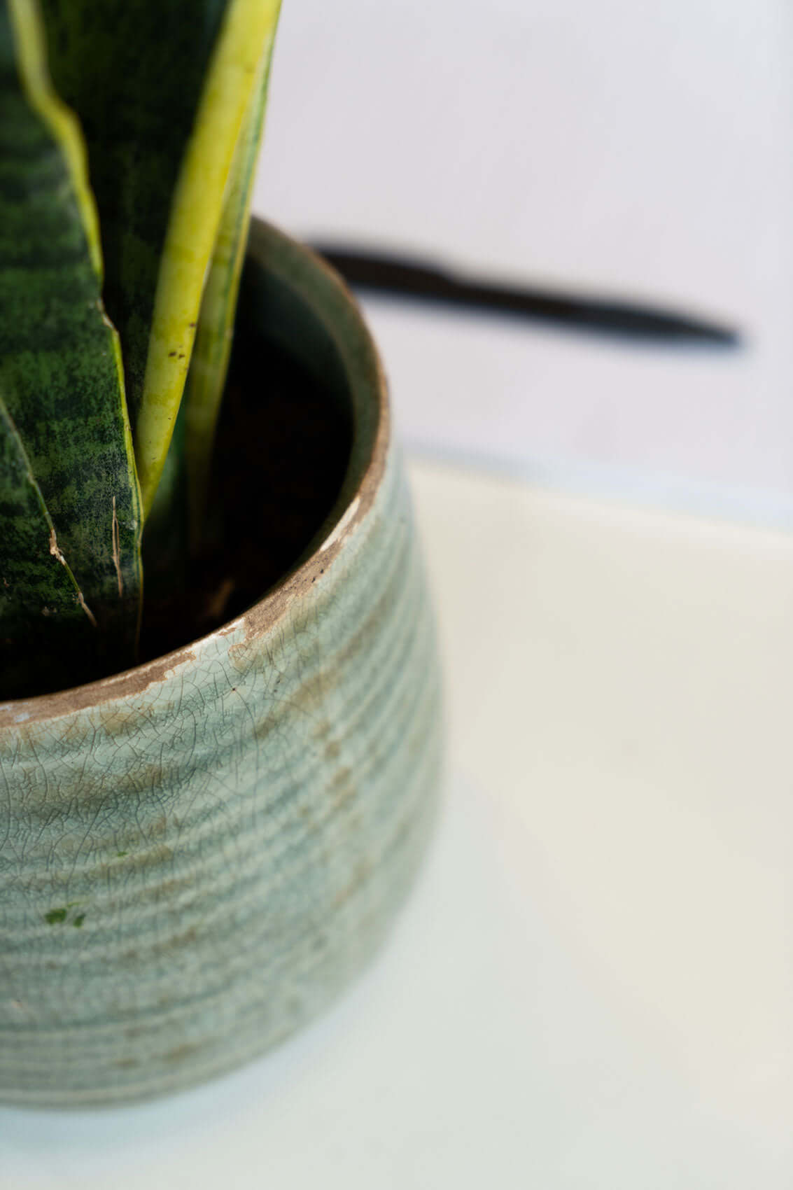 Iris Ceramic Plant Pots, Mint, Houseplant Pot in Multiple Sizes