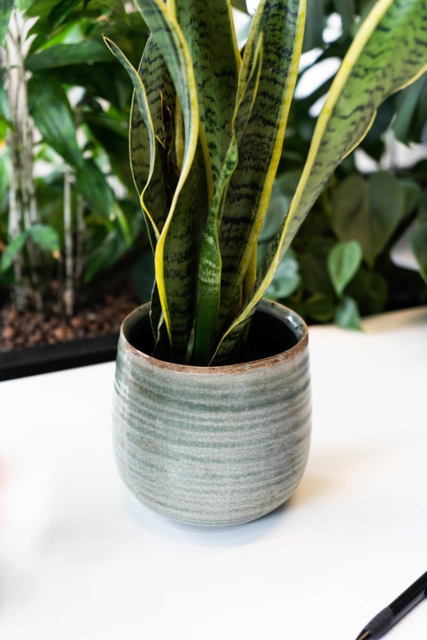 Iris Ceramic Plant Pots, Mint, Houseplant Pot in Multiple Sizes