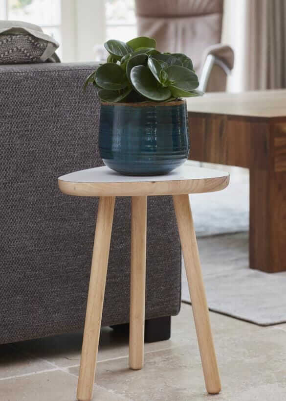 Iris Plant Pots, Turquoise, Handmade Houseplant Pot in Multiple Sizes