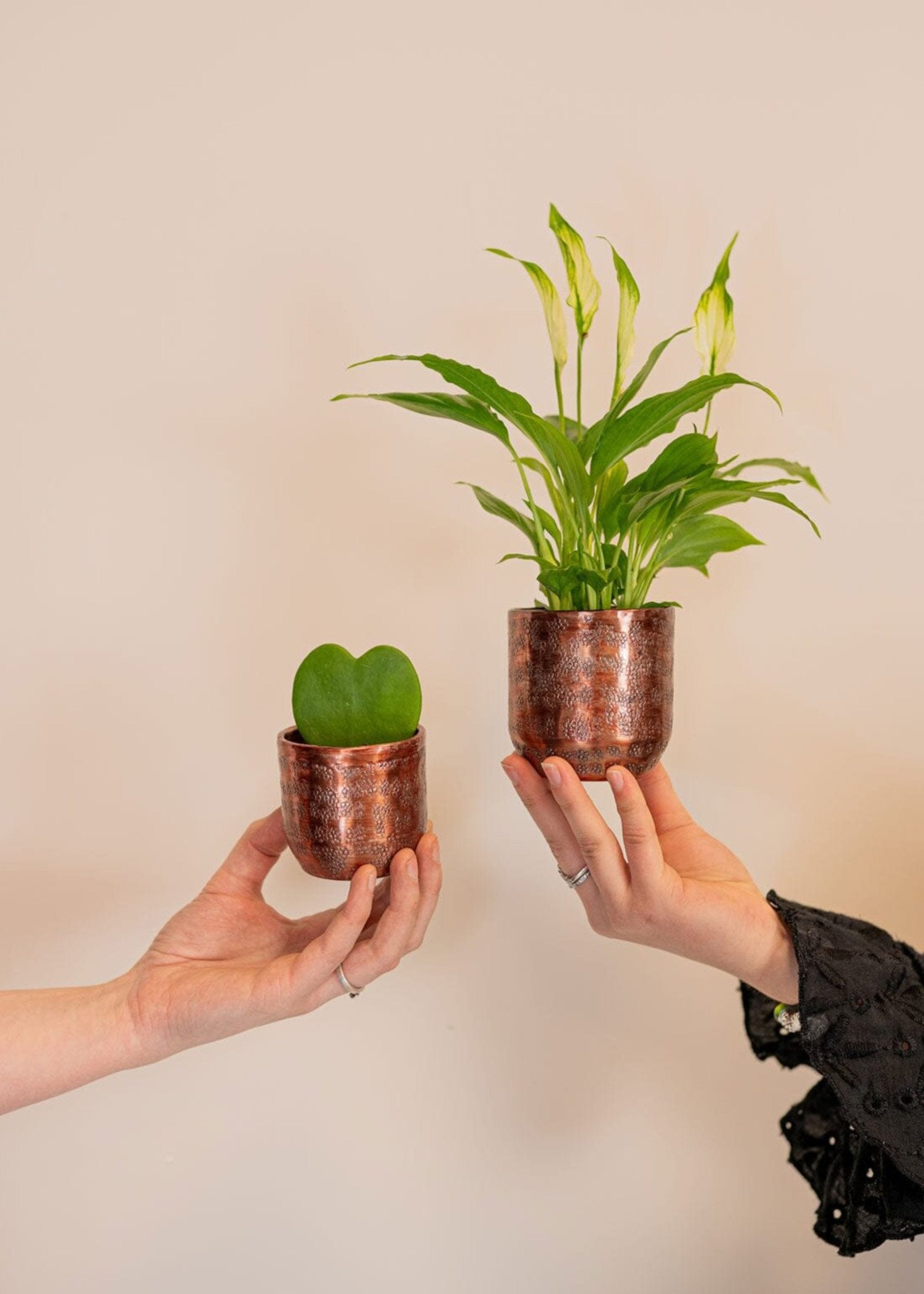 Ivan Metal Plant Pots, Copper, Handmade