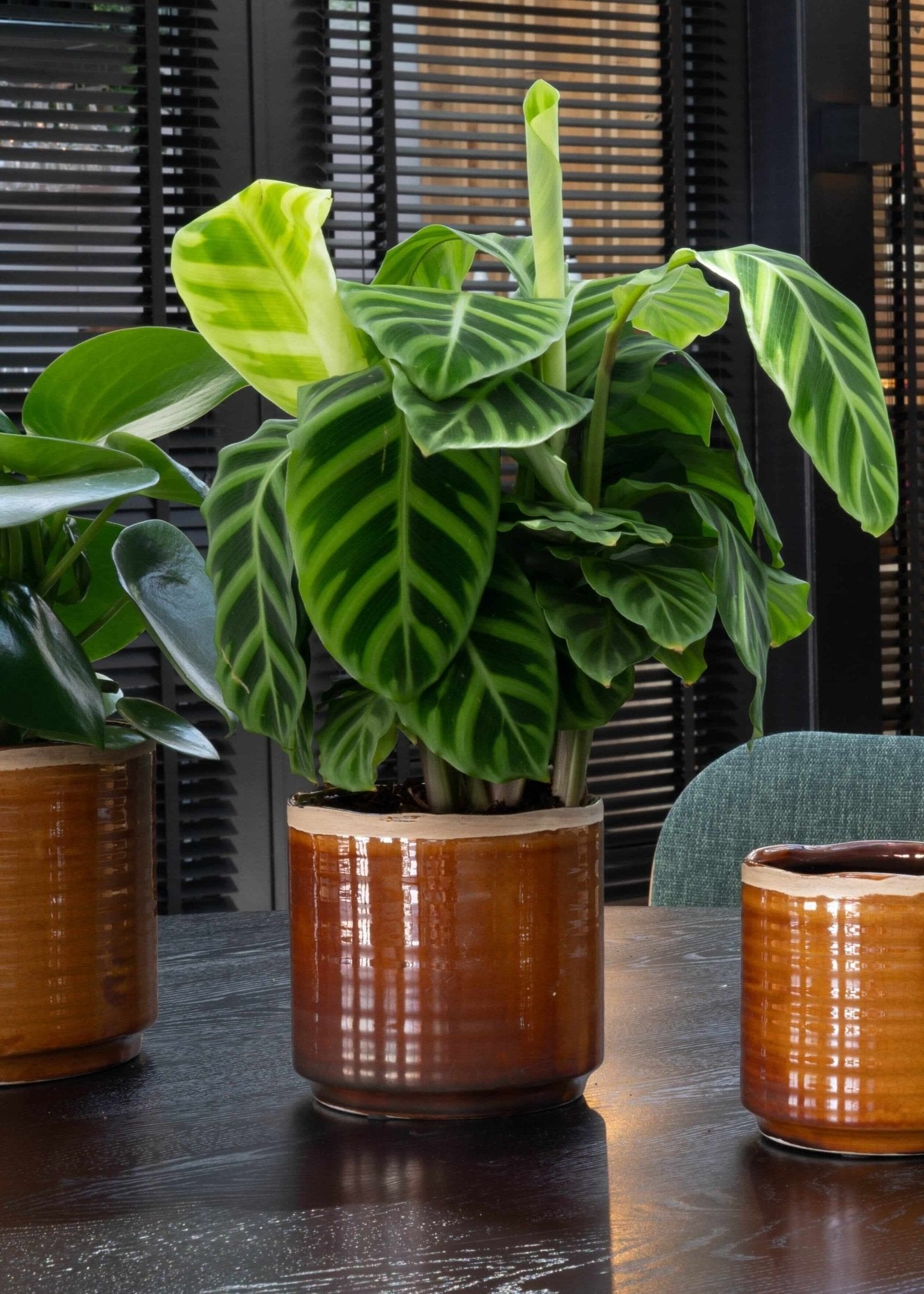 Jordy Ceramic Plant Pots, Caramel, Handmade