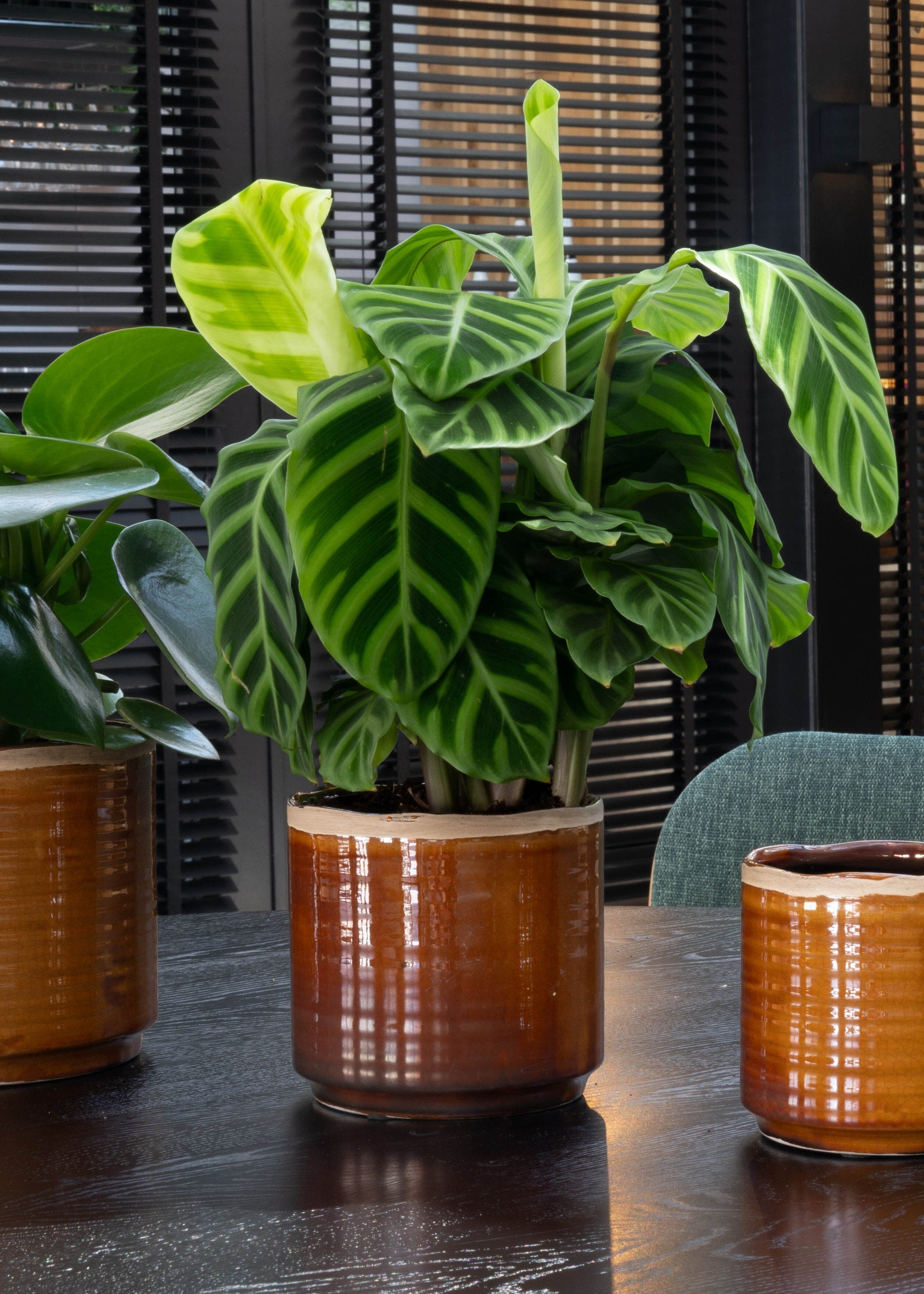 Jordy Ceramic Plant Pots, Caramel