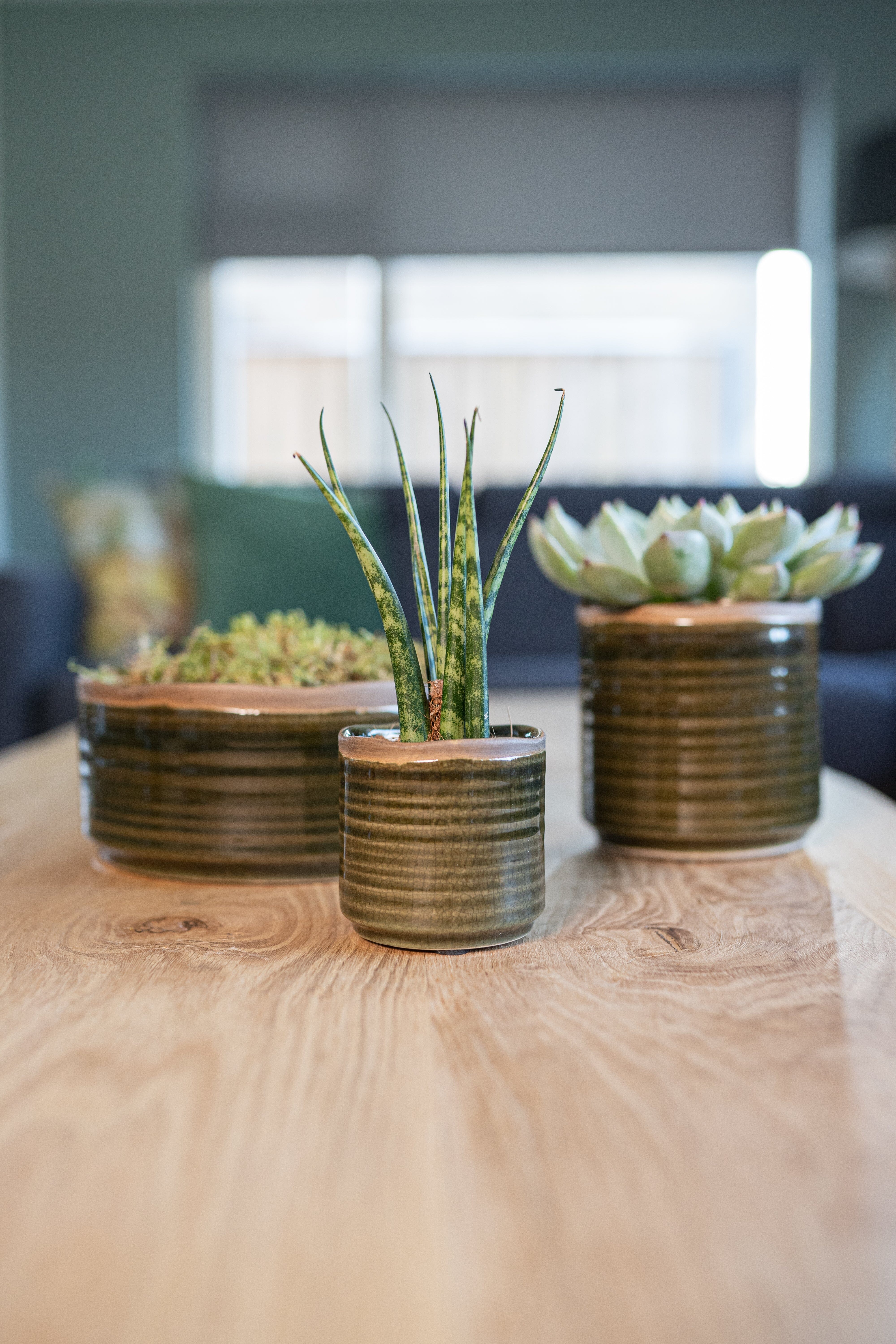 Jordy Ceramic Plant Pots, Handmade, Forest Green