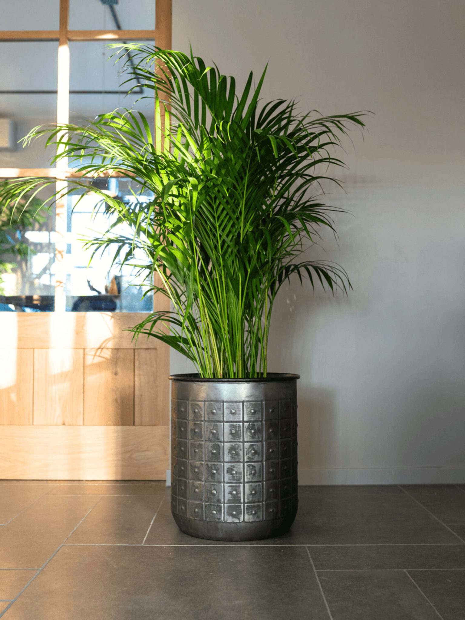 Large Indoor Metal Plant Pot Tobi - Lead - Handmade