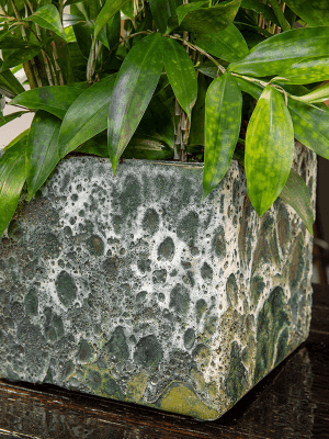 Lava Cube Relic Plant Pots, Jade, Square Plan Pot