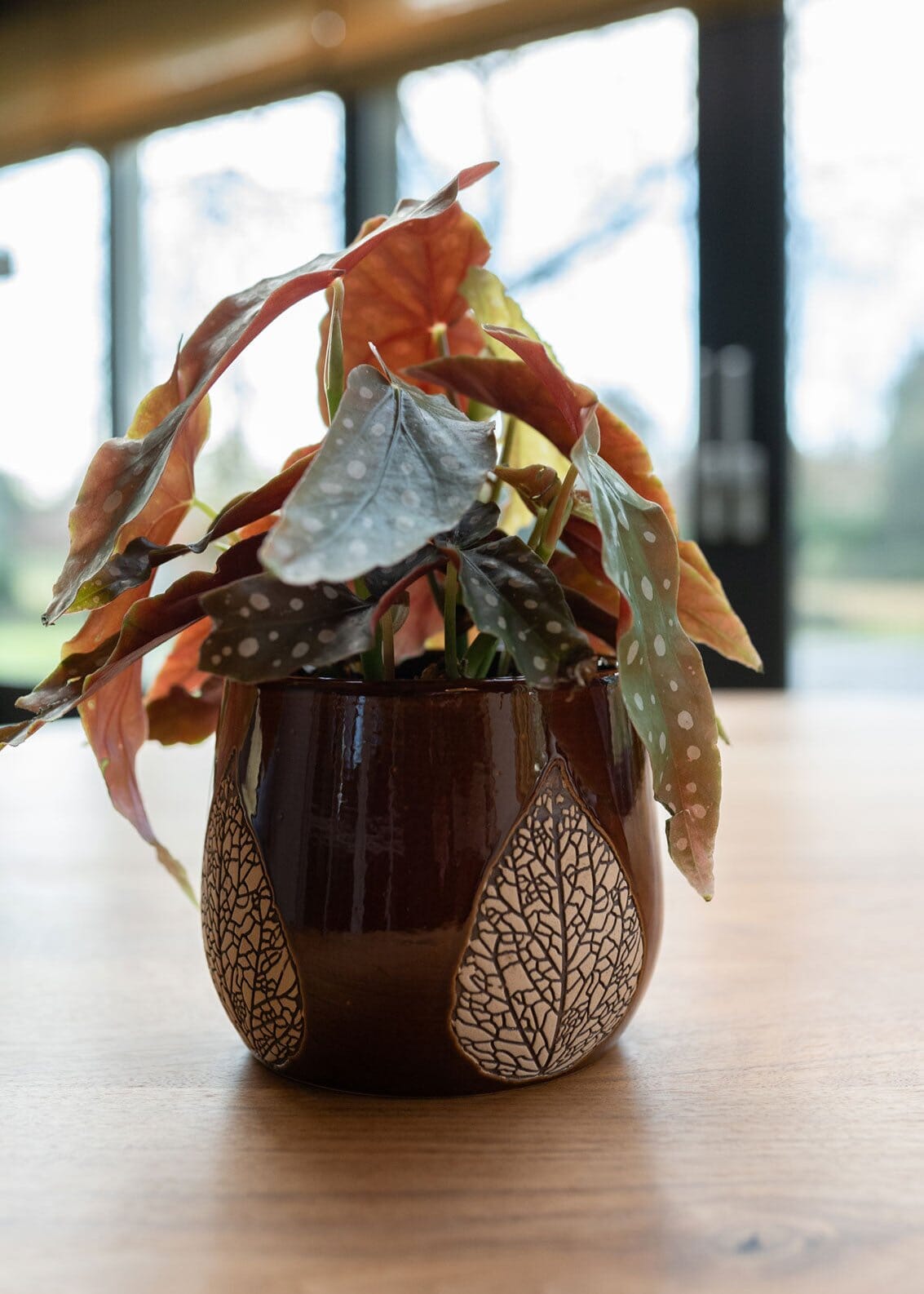 Leaf Ceramic Plant pots, Burgundy, Handmade