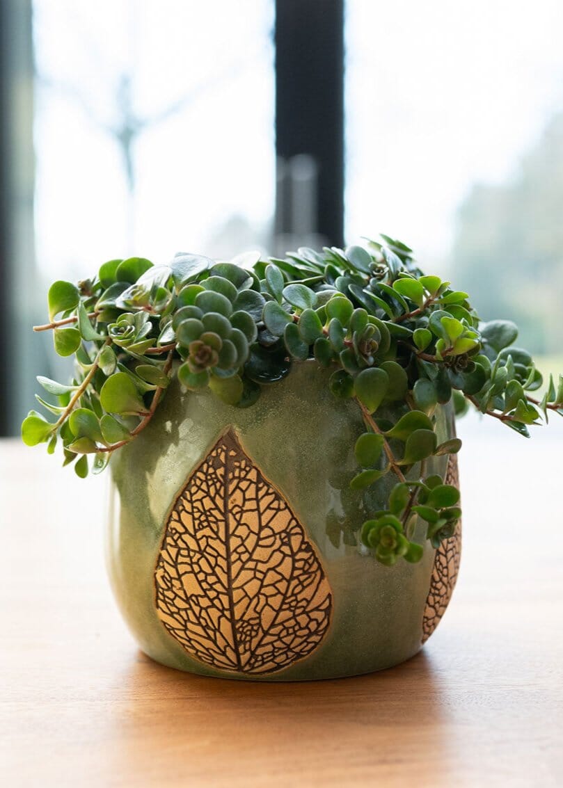 Leaf Ceramic Plant pots, Green