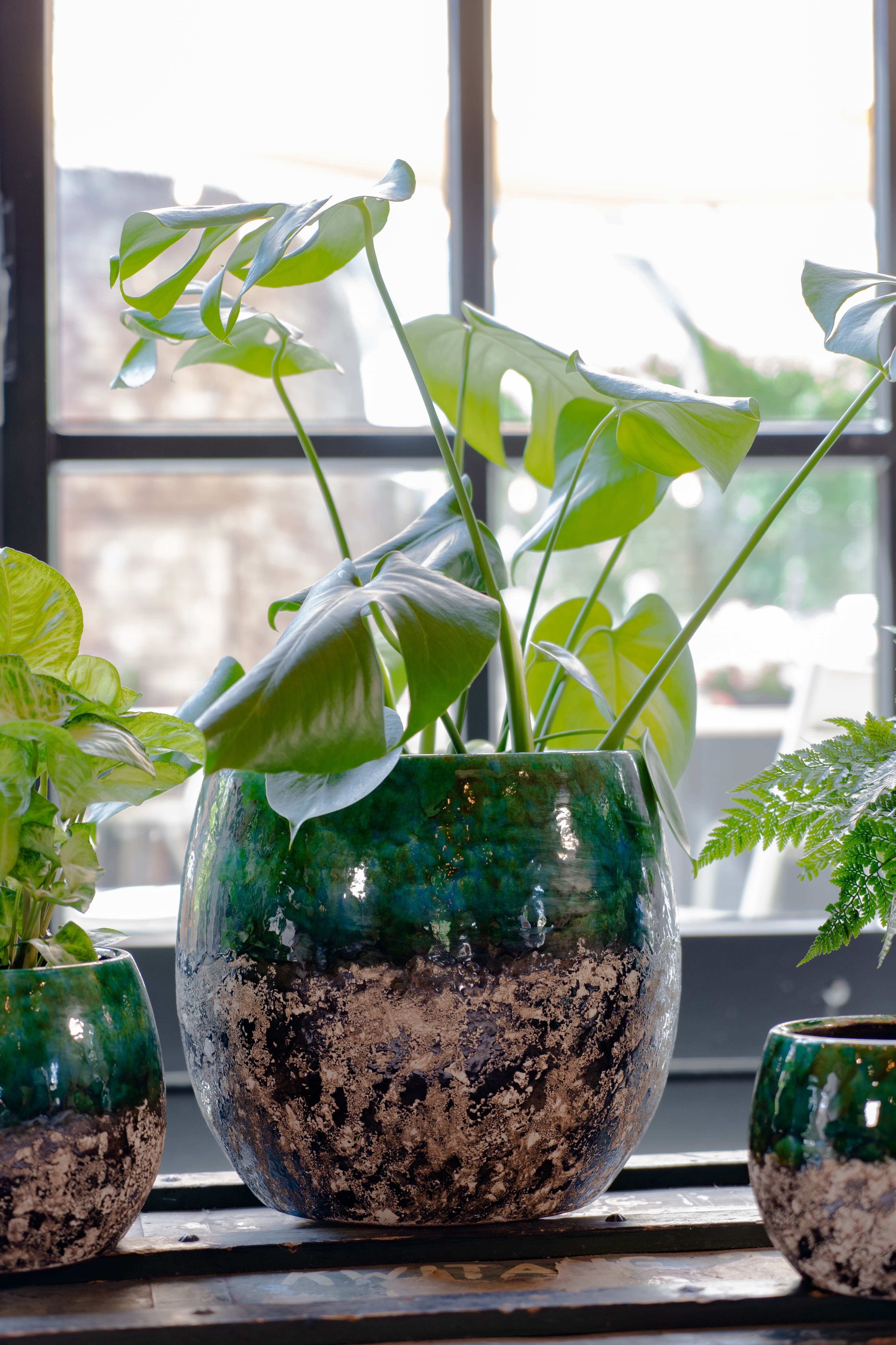 Lindy Ceramic Plant Pots, Black Green, Handmade