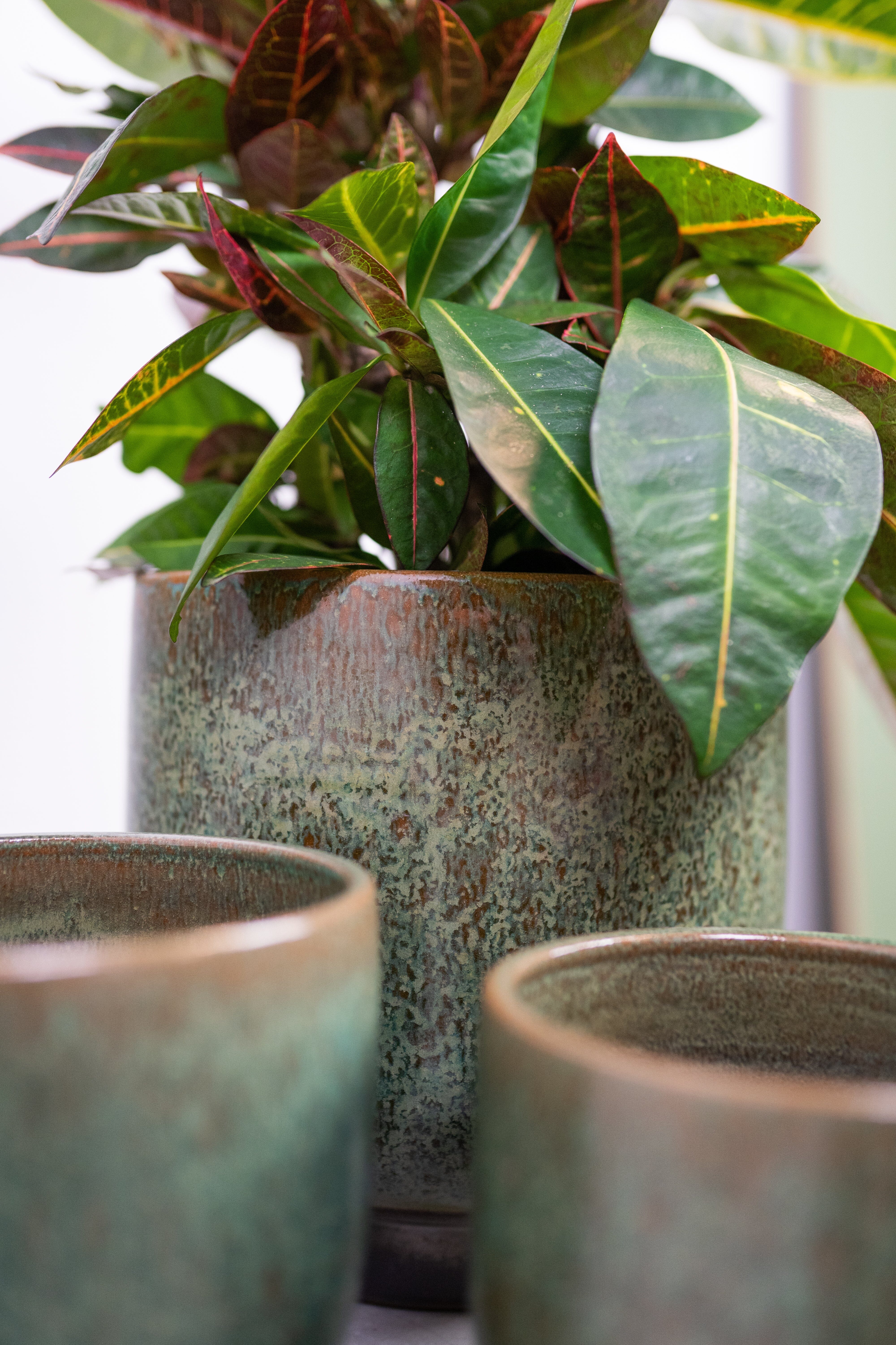 Linn Ceramic Plant Pots, Deep Green, Handmade