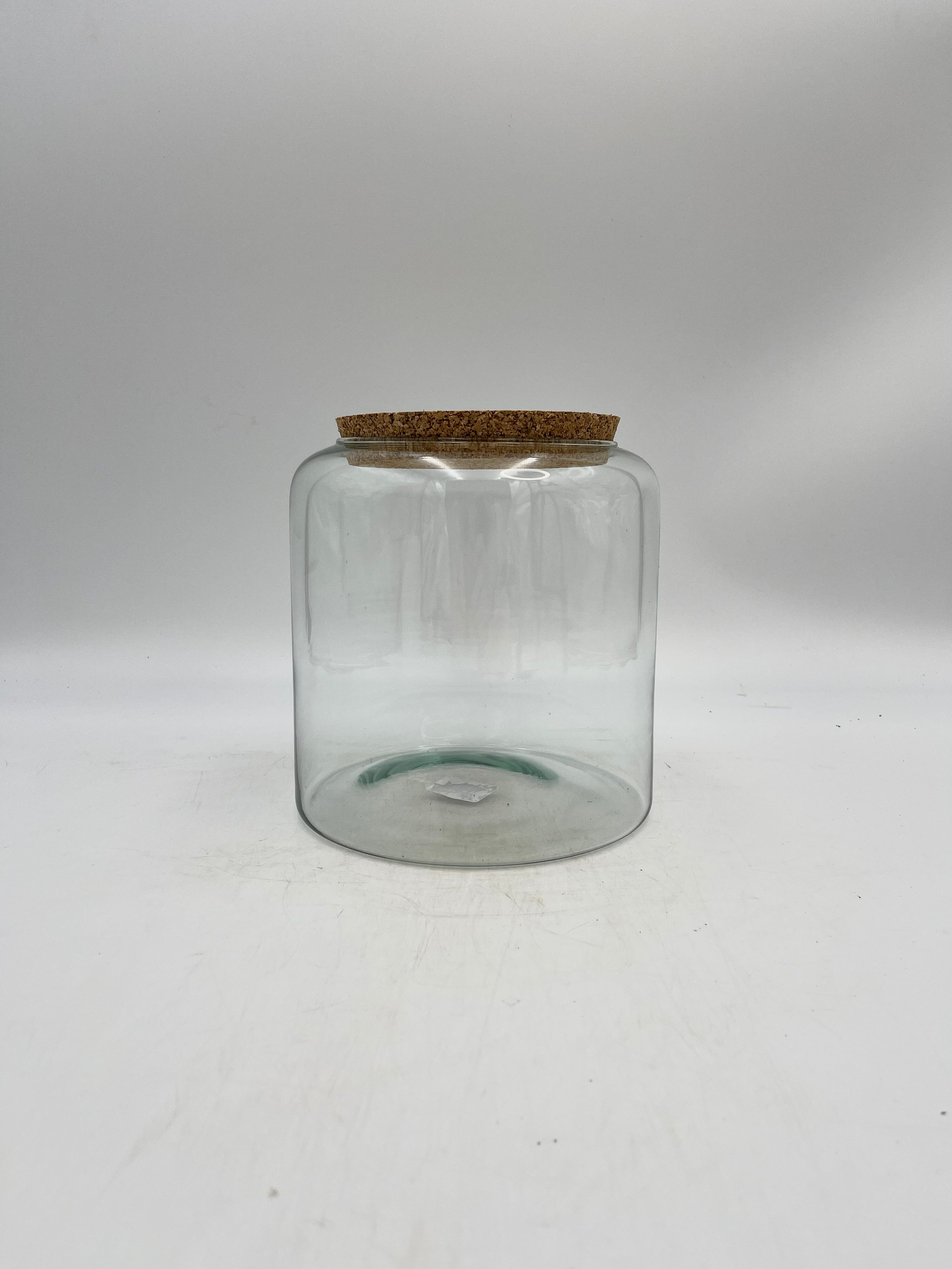 Mari Eco- Friendly Glass Terrarium cork, 19 cm Height