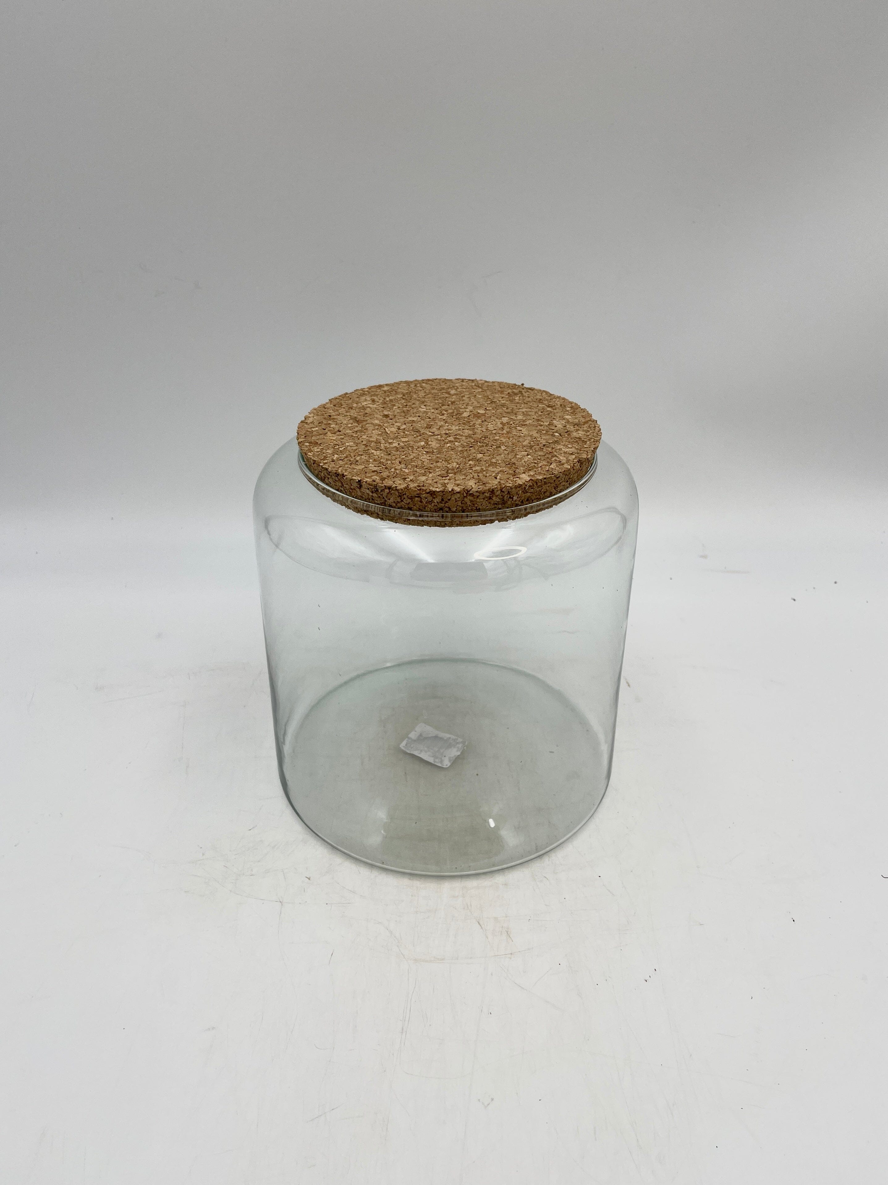 Mari Eco- Friendly Glass Terrarium cork, 19 cm Height